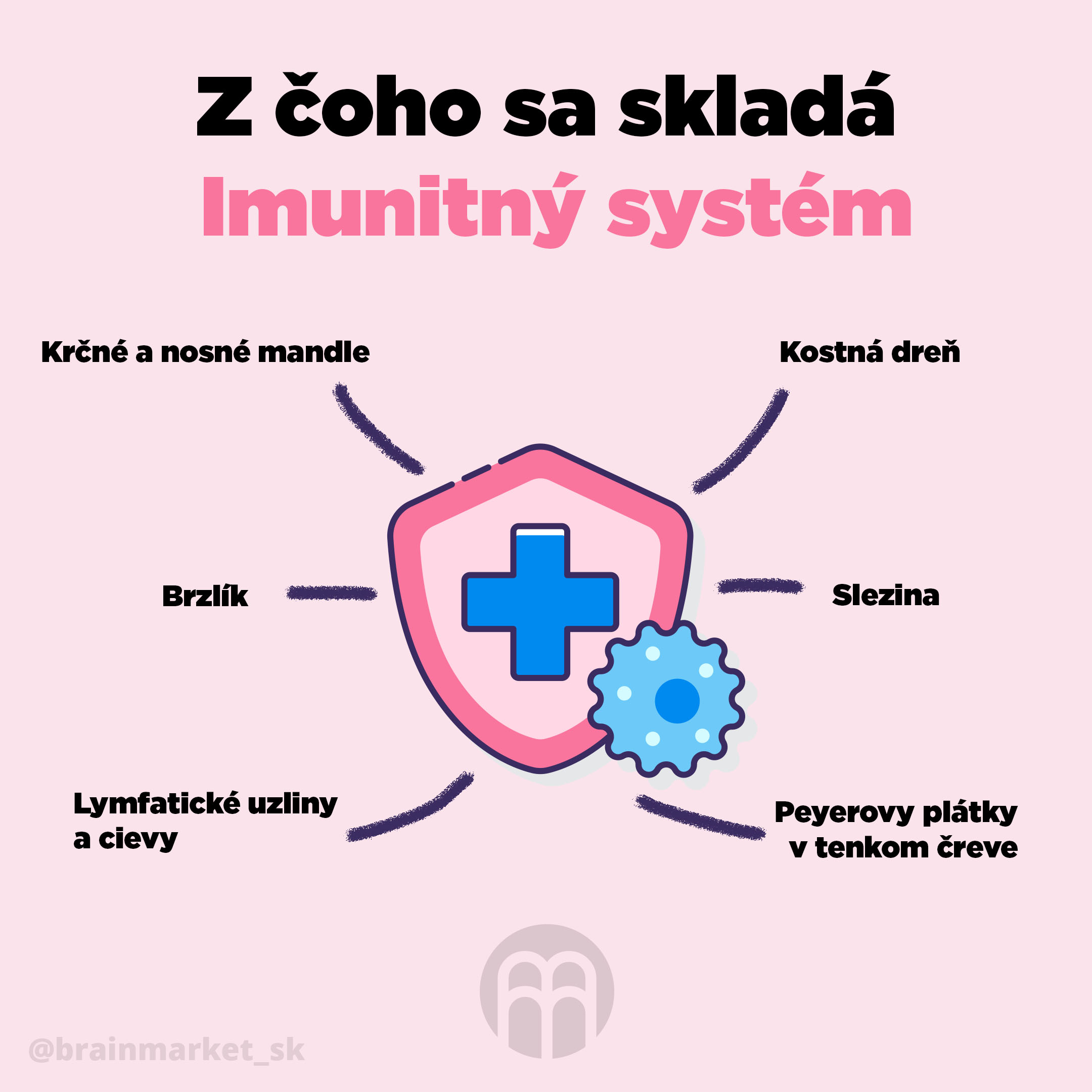 z_ceho_se_sklada_imunitni_system_SK_Infografika_Instagram_BrainMarket