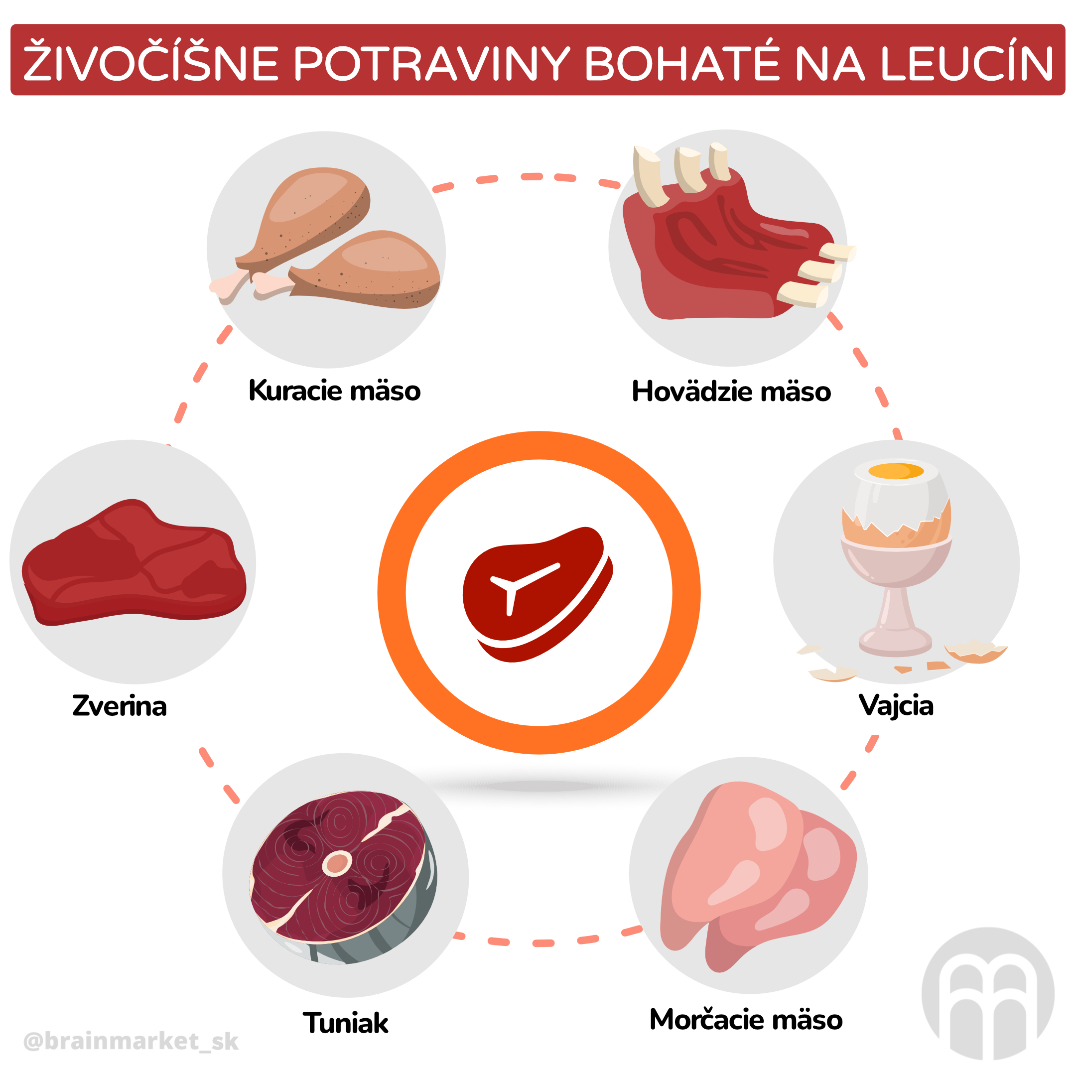 zivocisne potraviny bohaté na leucin_inforgafika_cz