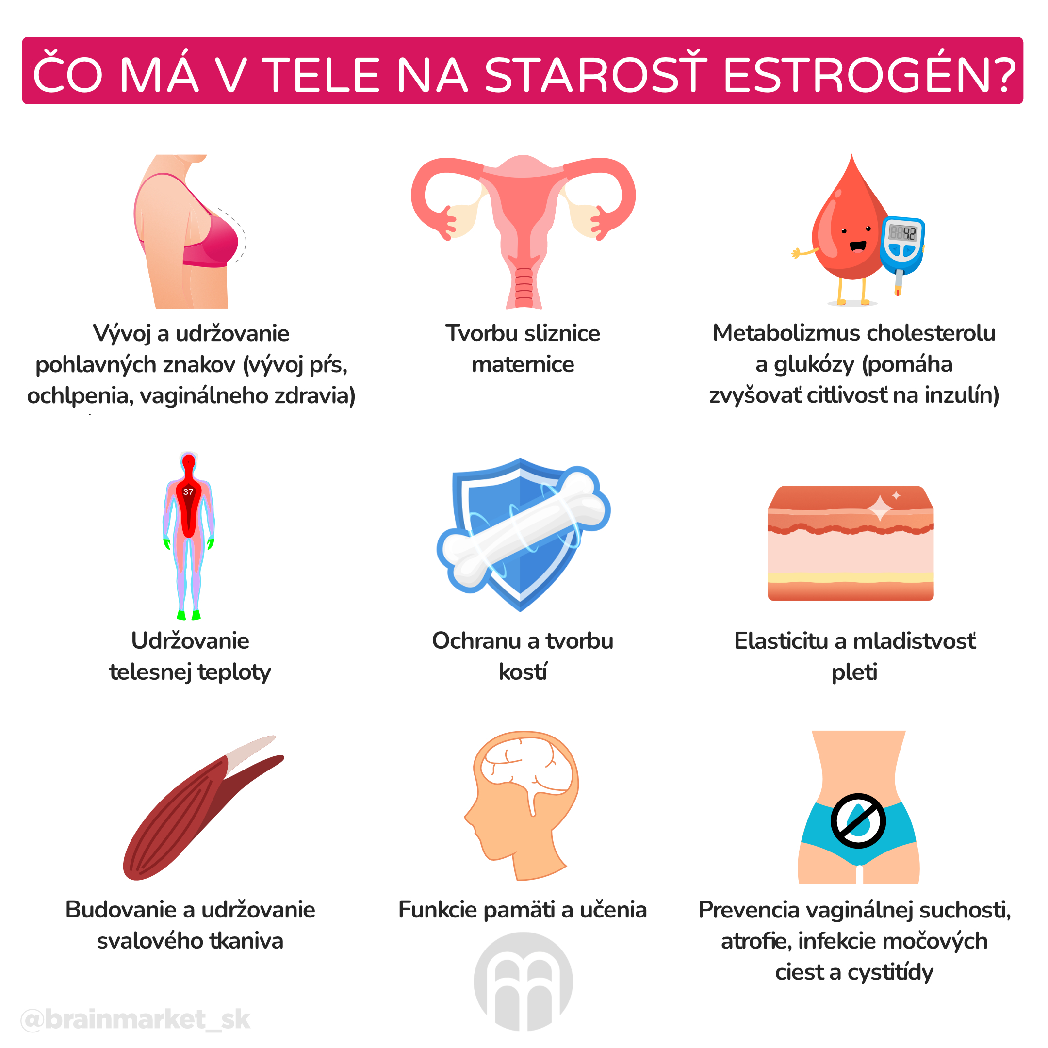 co ma na starost testosteron_infografika_cz