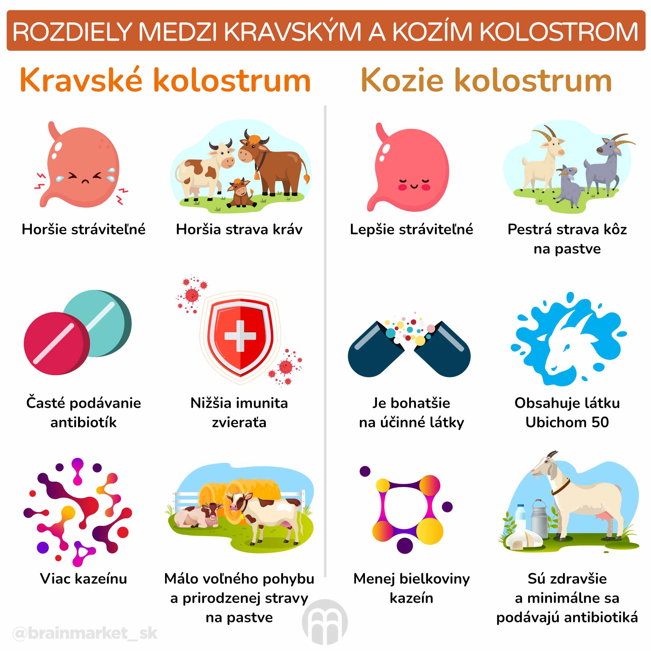 Rozdíly mezi kravským a kozím kolostrem_infografika_cz