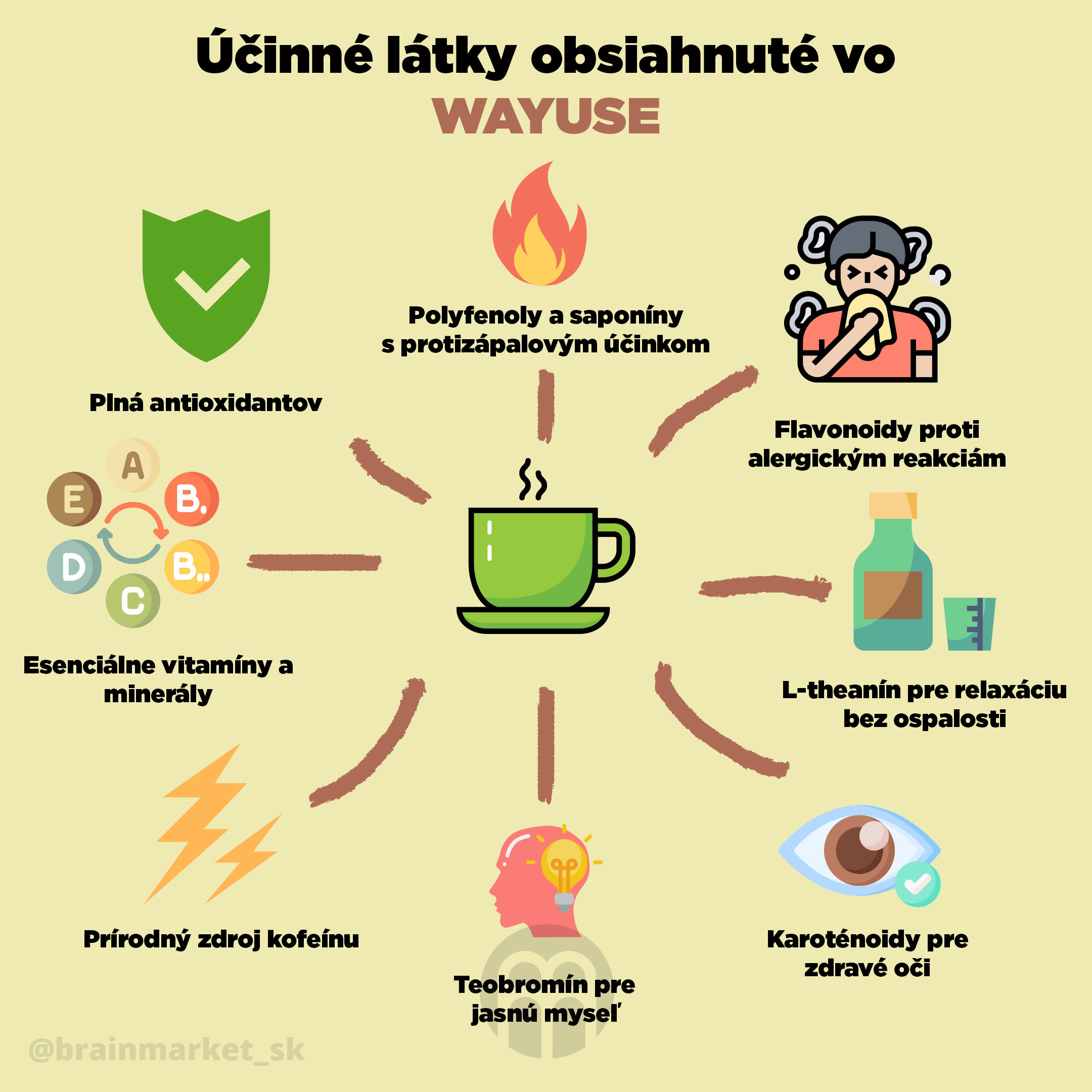 latky_obsahnute_ve_wayuse_SK_Infografika_Instagram_BrainMarket_1