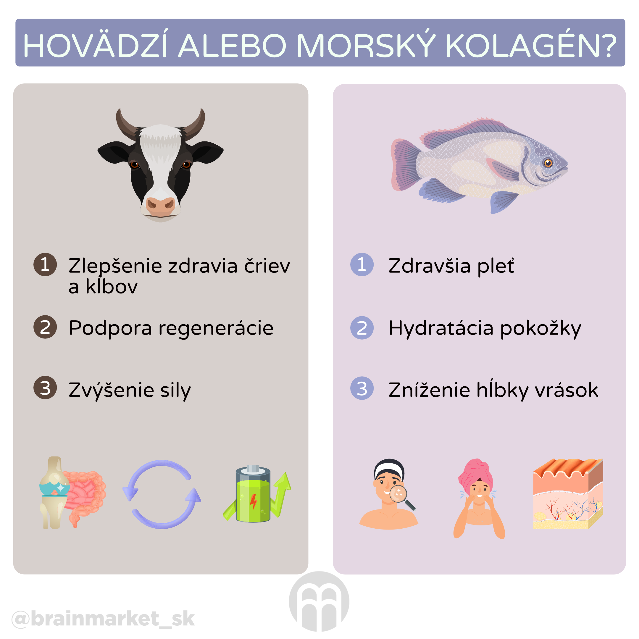 hovezi nebo morsky kolagen_infografika3_cz