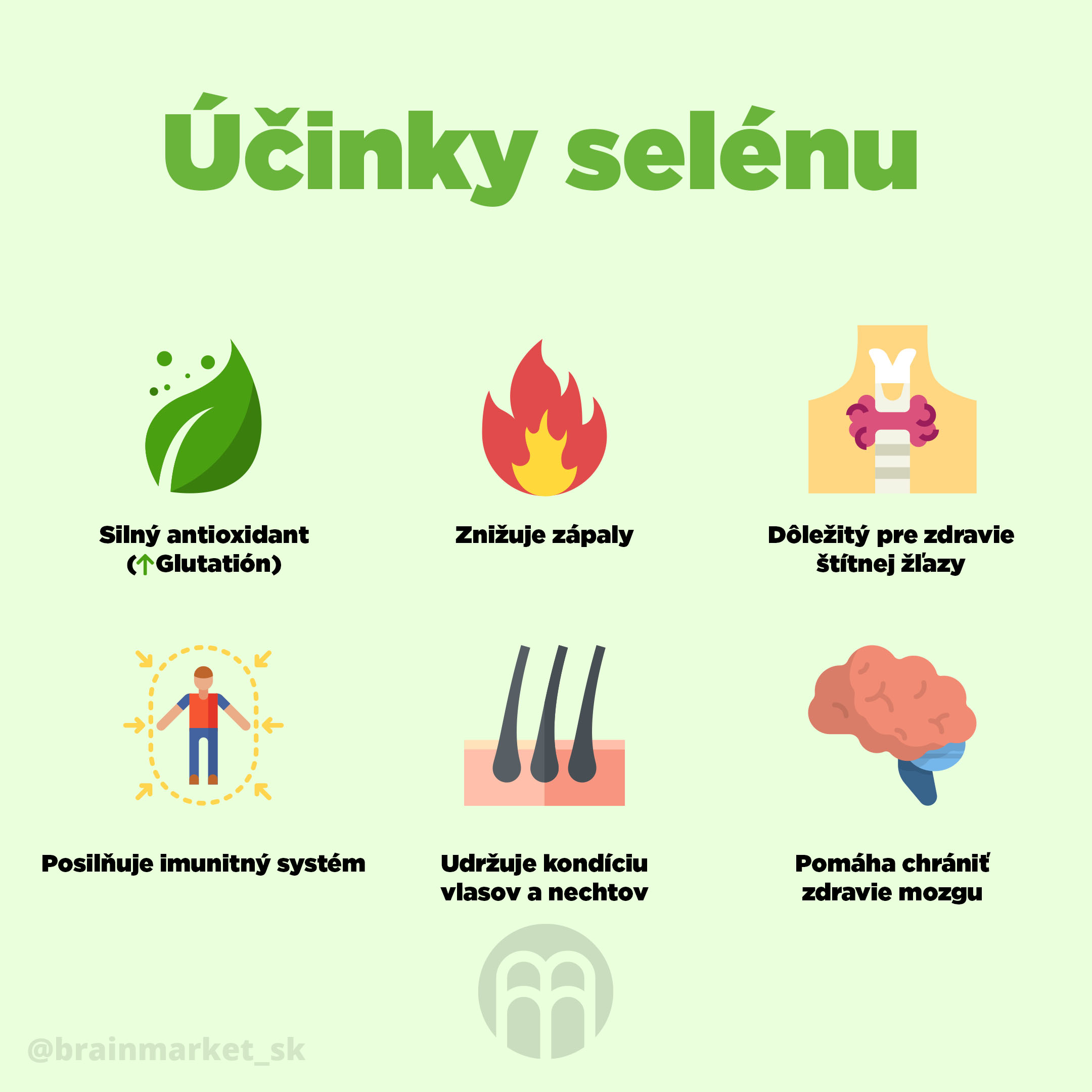 selen_infografika_brainmarket_SK