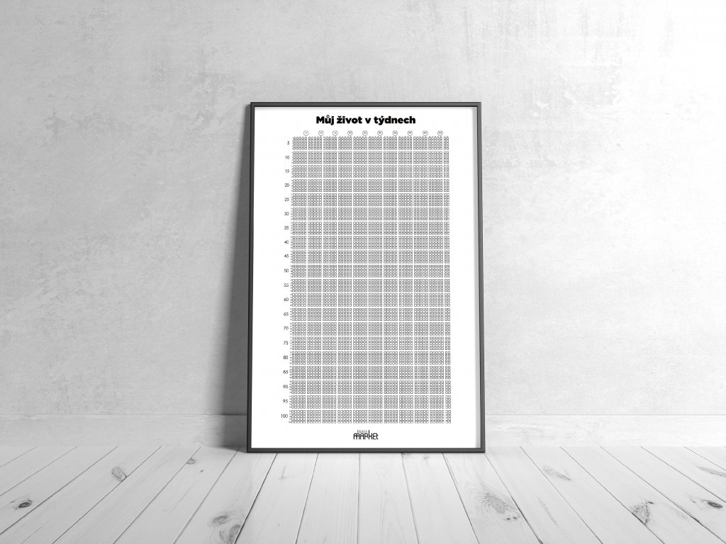 BrainMax Můj život v týdnech Obrázek