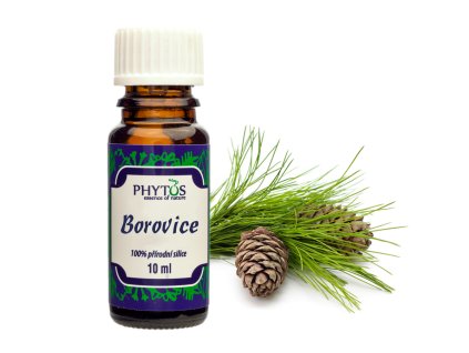 Borovice produkt
