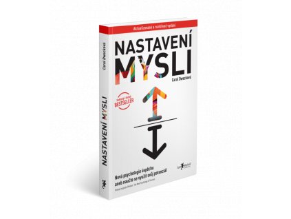 Nastavení mysli