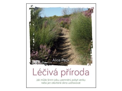 24848 leciva priroda jak muze sinrin joku uzemneni pobyt venku nebo jen otevrene okno uzdravovat alice peck