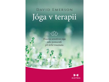 Jóga v terapii