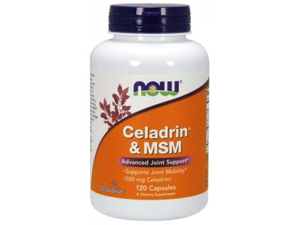 33252 now celadrin a msm 500 mg 120 kapsli