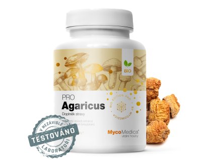agarikus detail s razitkem kopie.1025759333