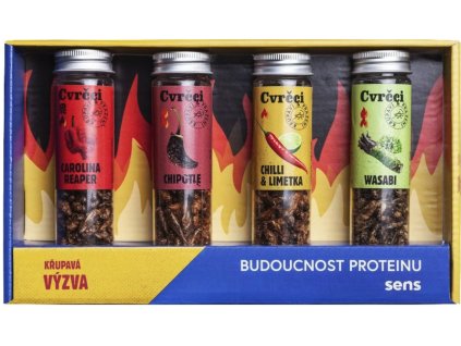 Snímek obrazovky 2024 12 09 v 8.32.56