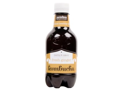 kombucha ginger purasana