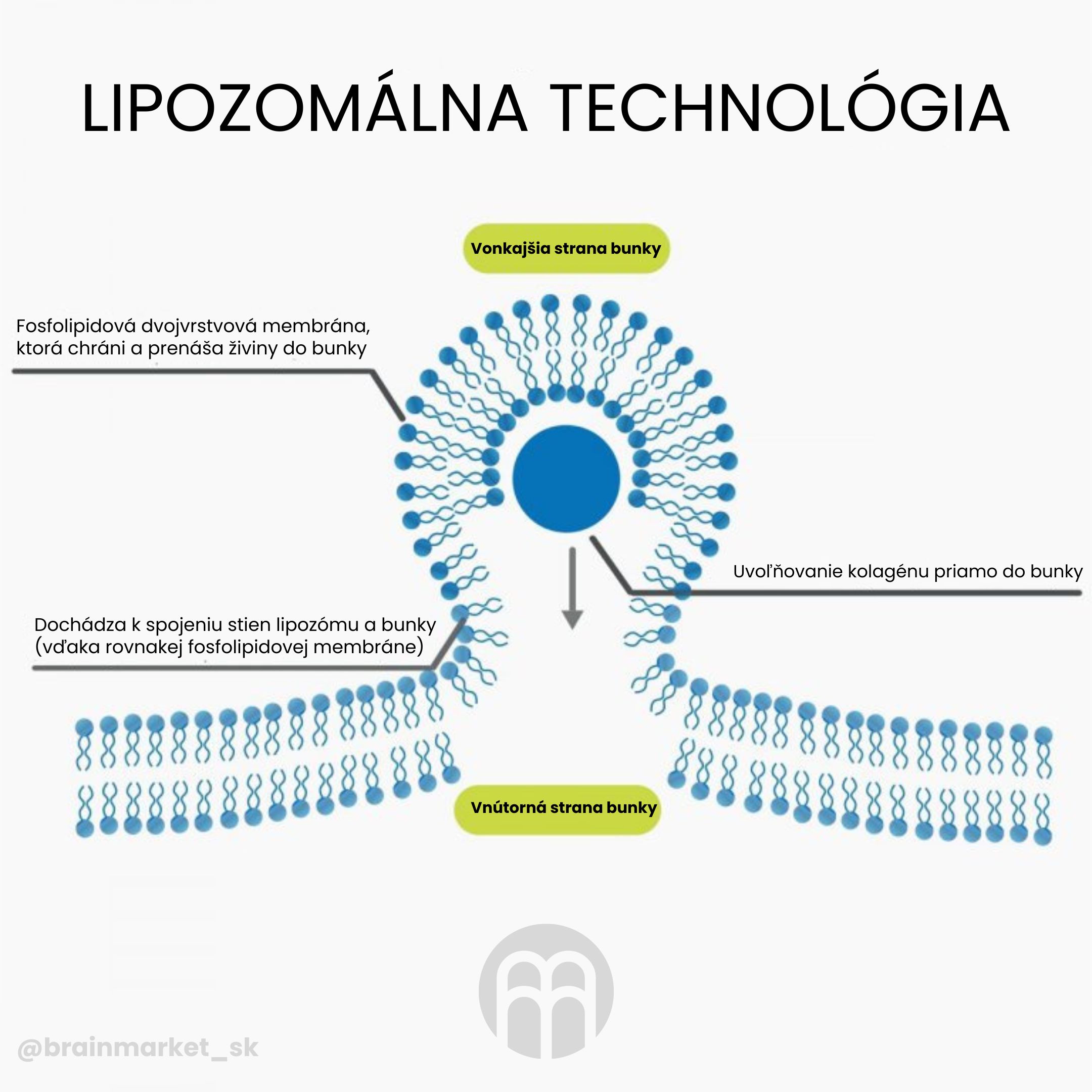 BrainMax Lipozomální Kolagen komplex, 250 ml Obrázek