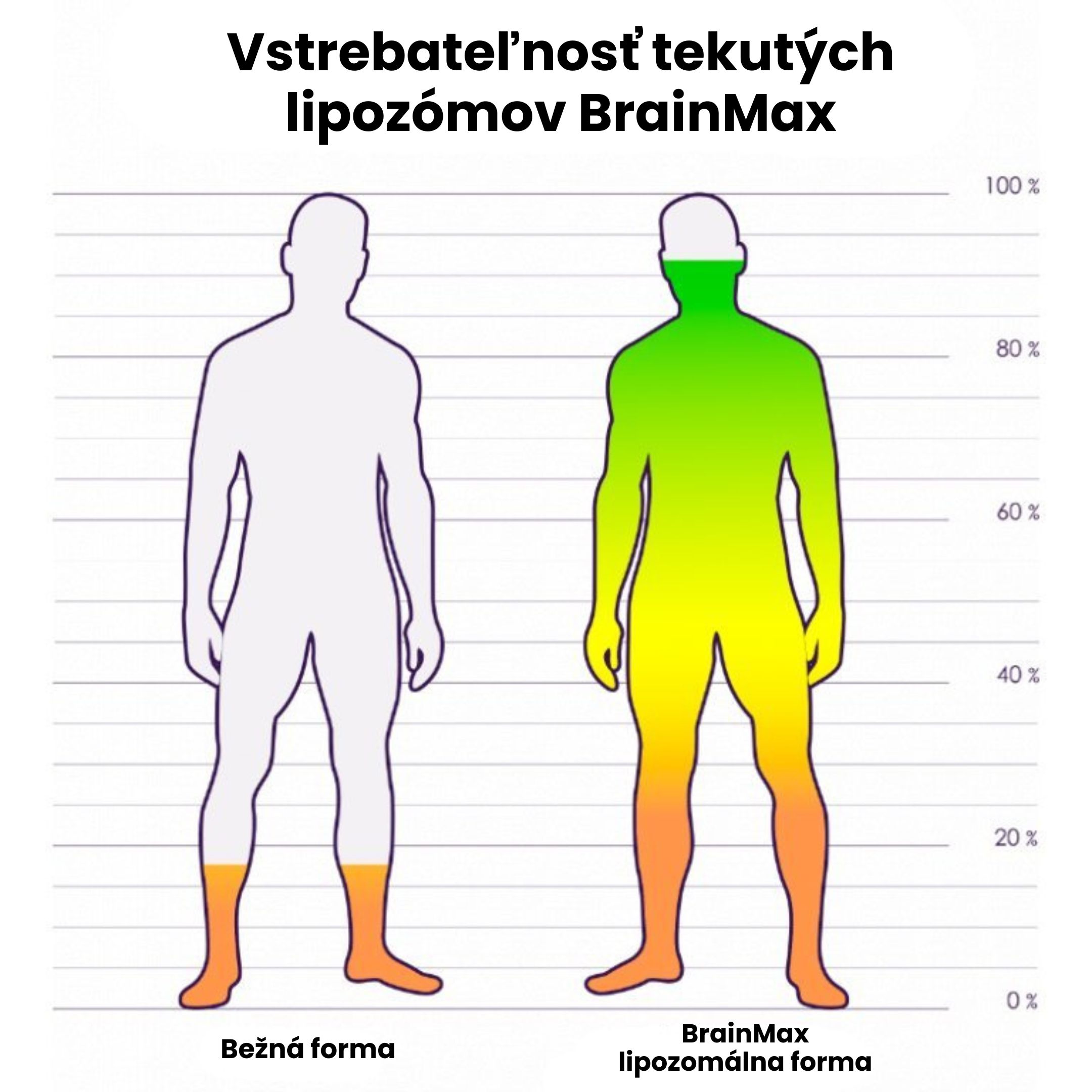 BrainMax Lipozomální Kloubní výživa, Acti-Joint® 250 ml Obrázek