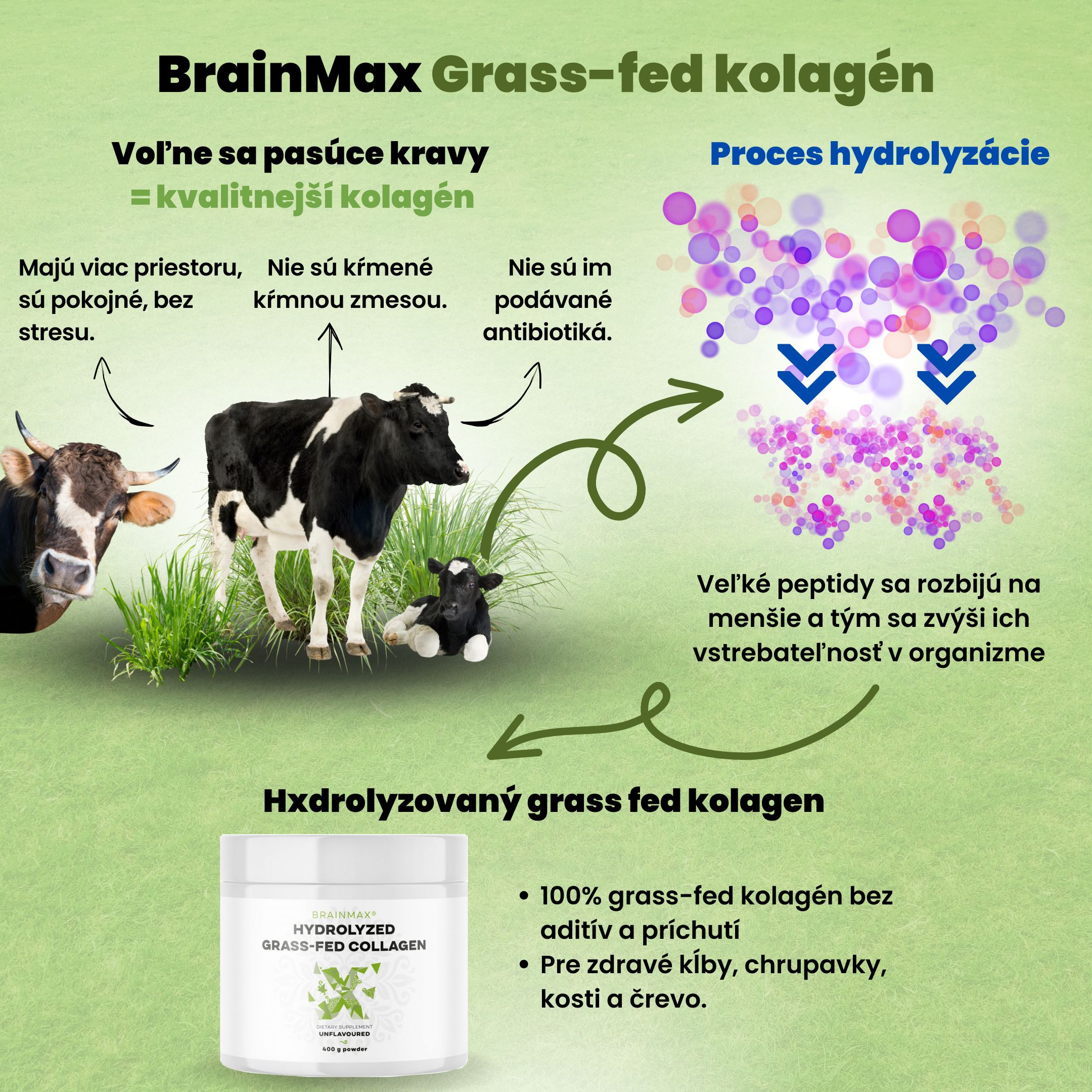 BrainMax Hydrolyzovaný Kolagen, Grass-fed Collagen, 400 g Obrázek