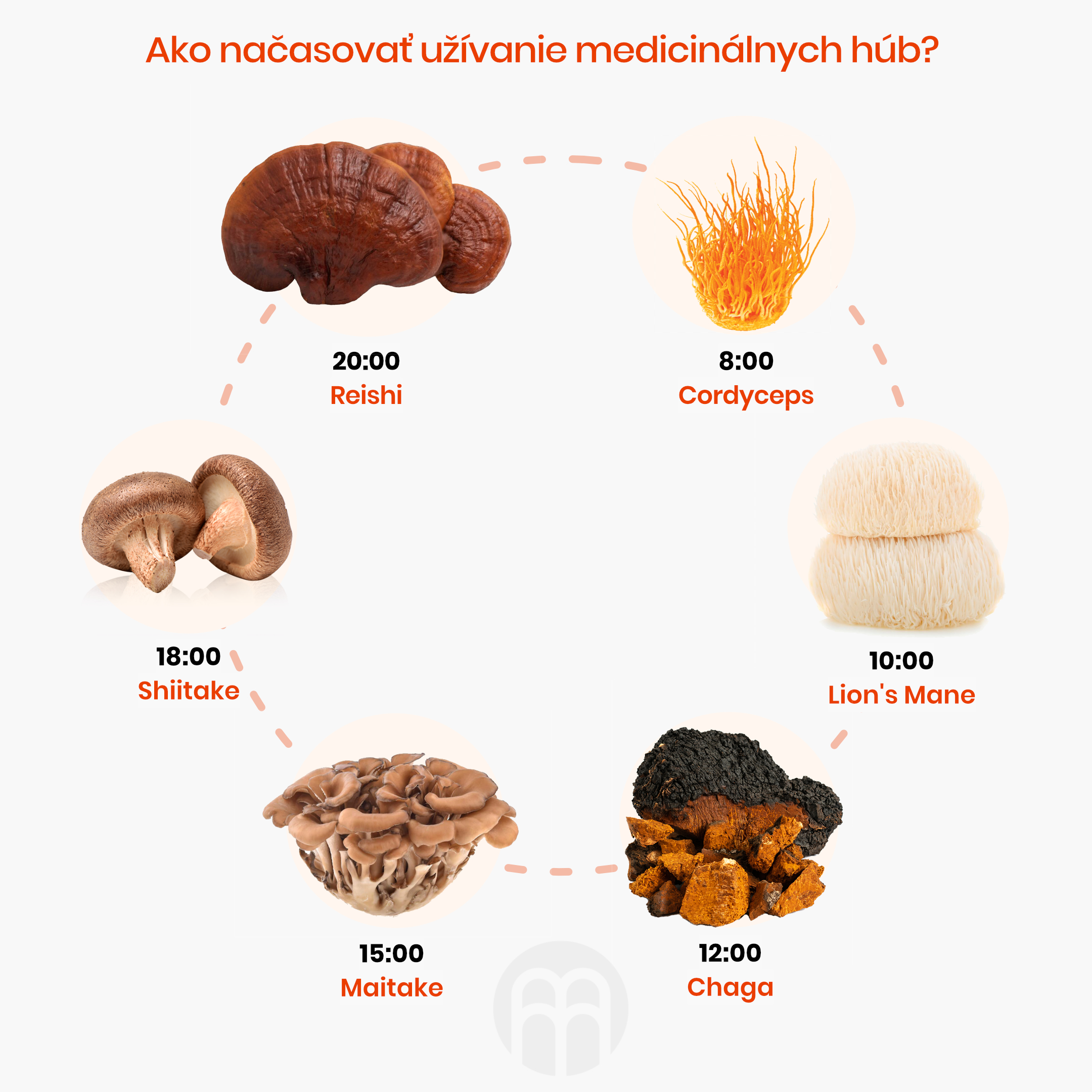 BrainMax Pure Reishi, tinktura 1:3, 100 ml Obrázek