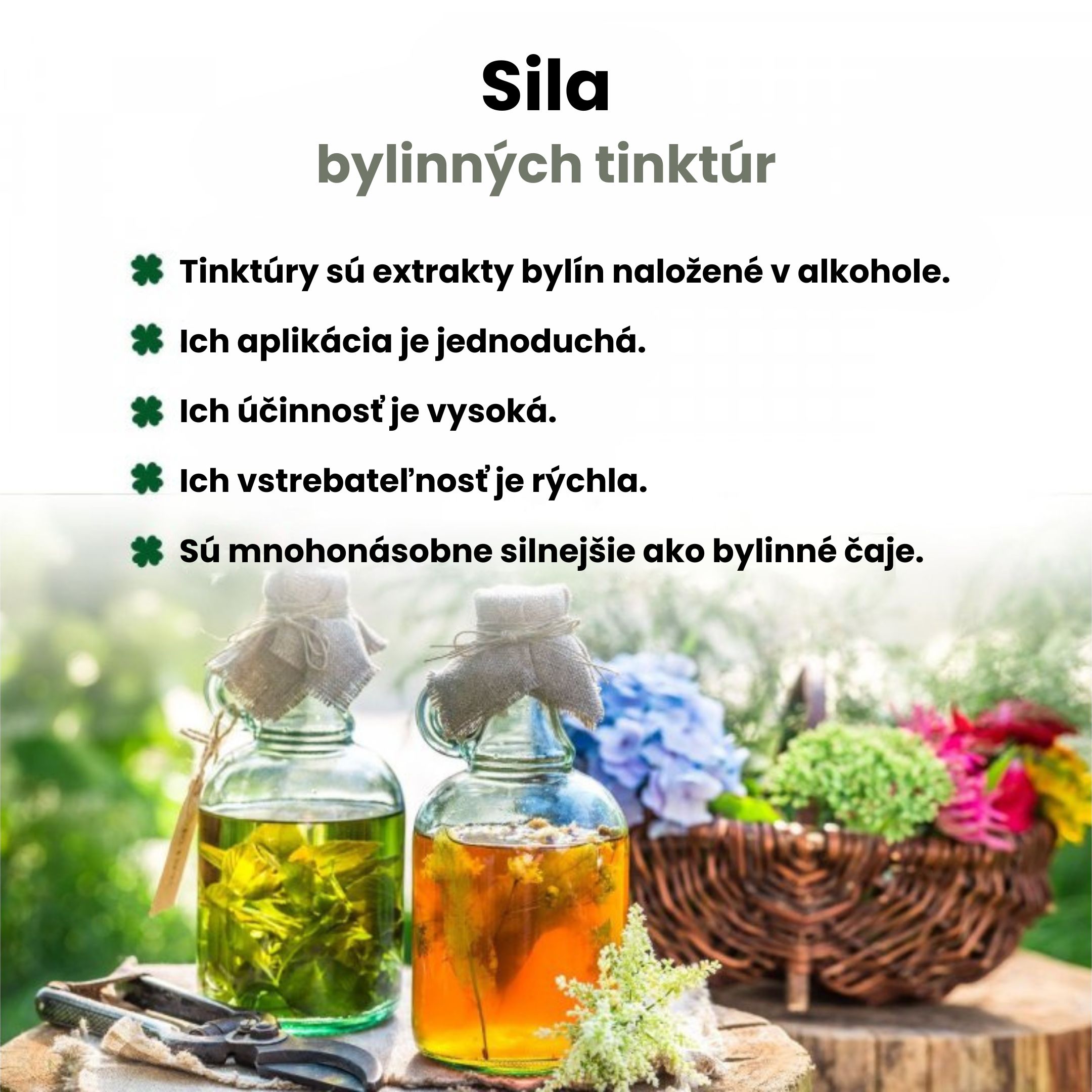 BrainMax Pure Tribulus, Kotvičník zemní, tinktura 1:3, 100 ml Obrázek