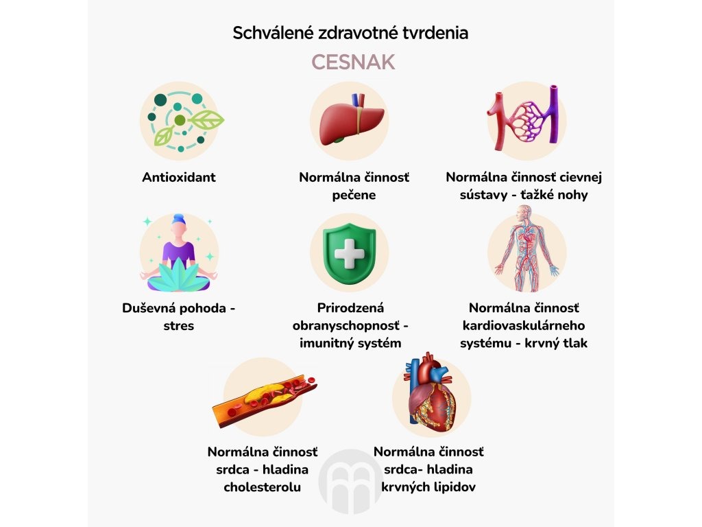 BrainMax Pure Česnek tinktura 1:3, 100 ml Obrázek