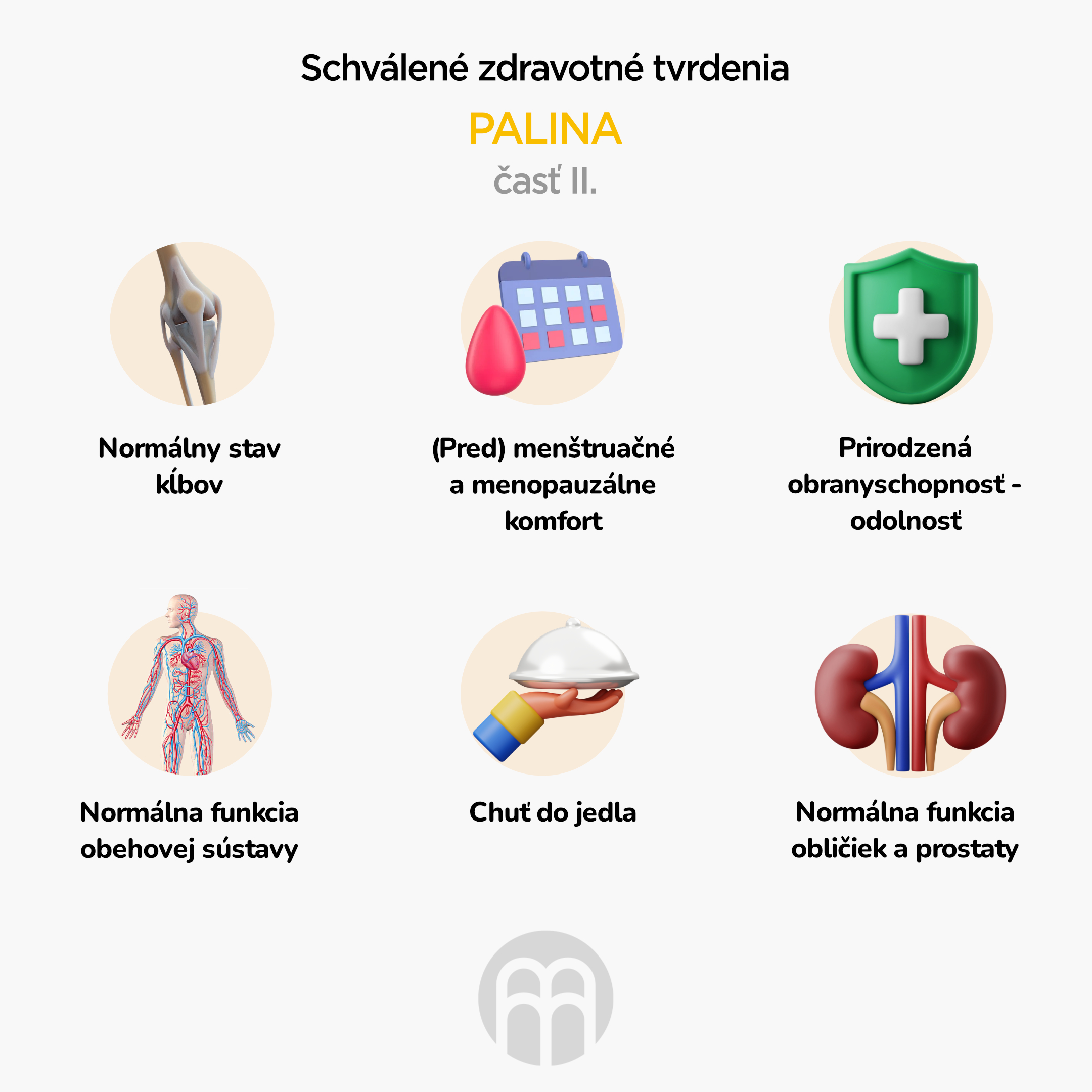 BrainMax Pure Pelyněk (Wormwood) tinktura 1:3, 100 ml Obrázek