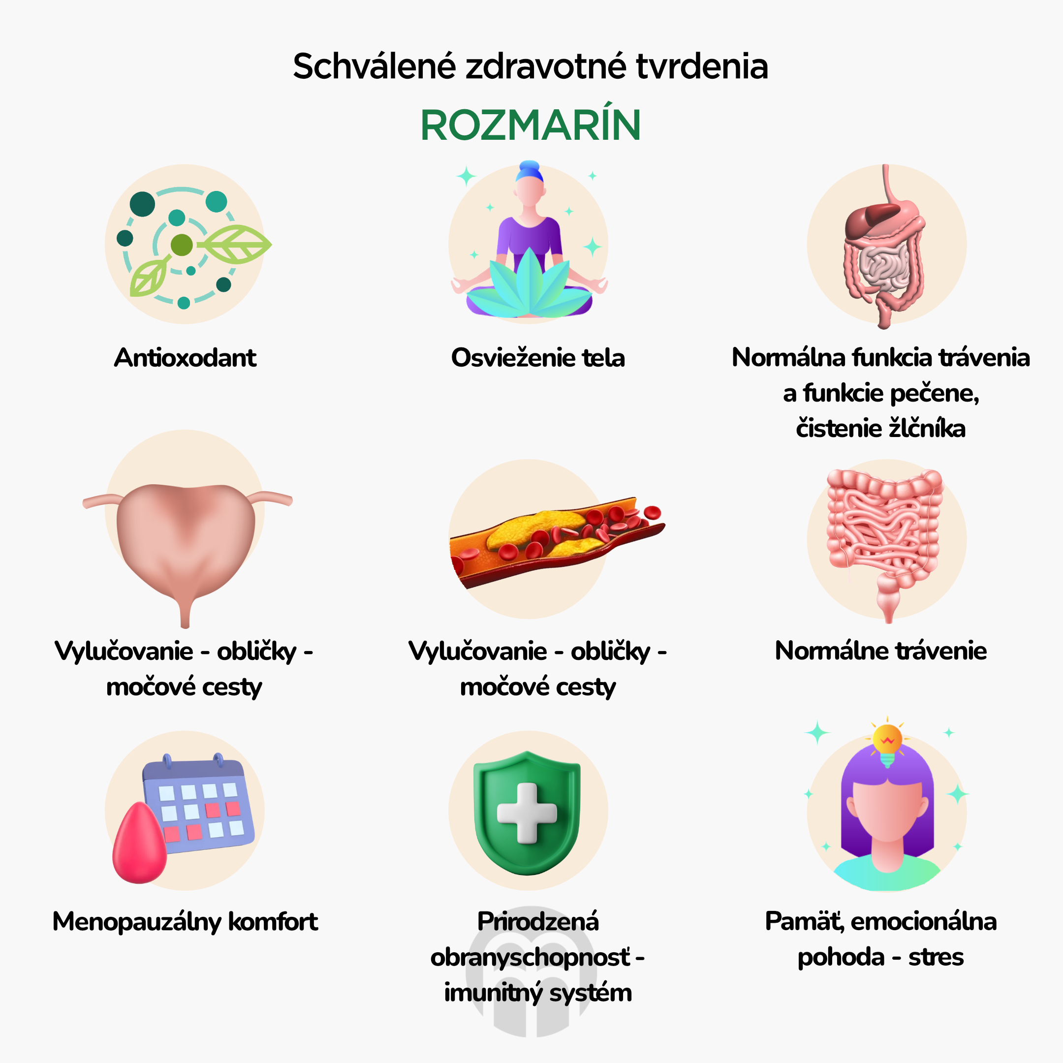 BrainMax Pure Rozmarýn (Rosemary leaf) tinktura 1:3, 100 ml Obrázek