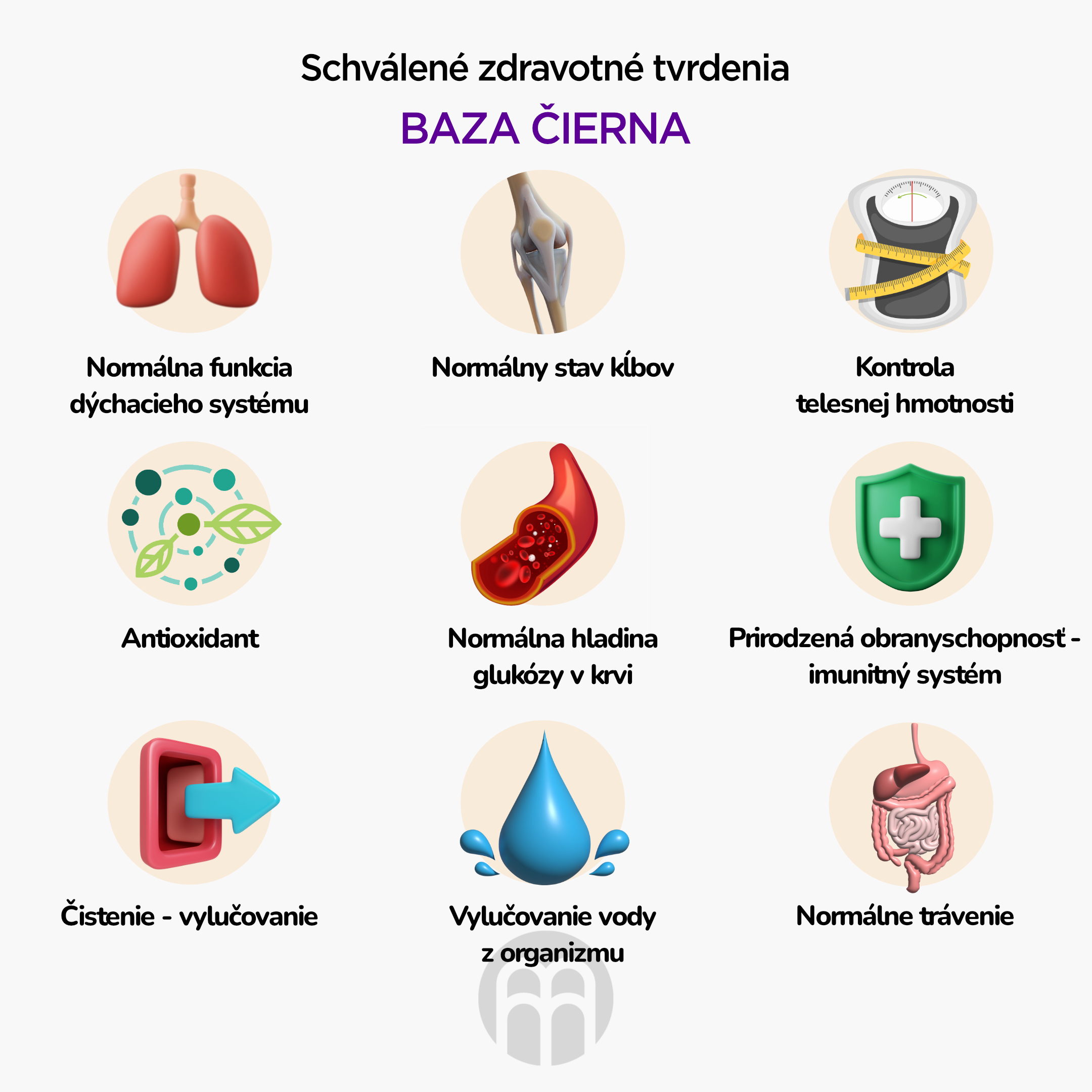 BrainMax Pure Černý bez bobule (Elderberry) tinktura 1:3, 100 ml Obrázek