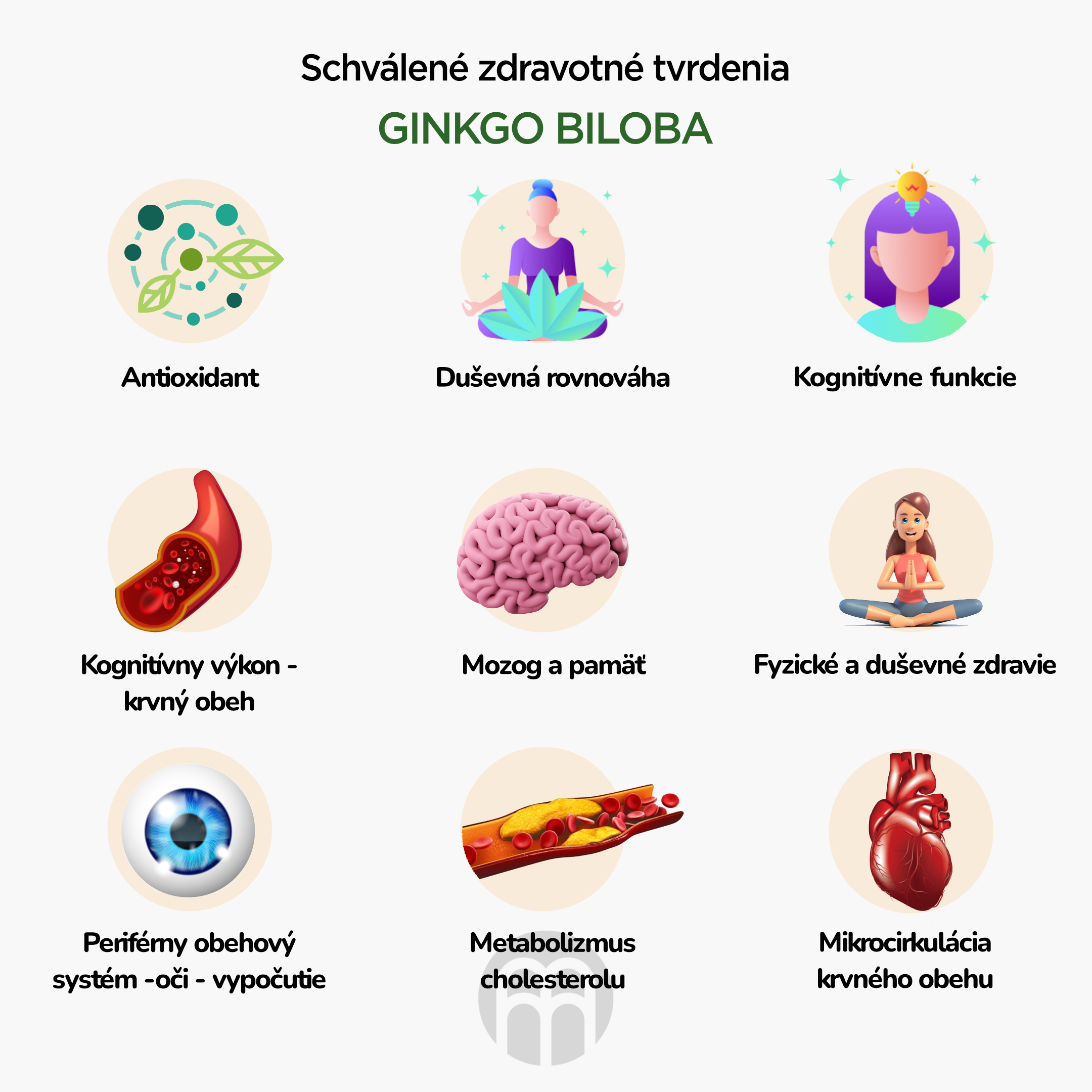 BrainMax Pure Ginkgo Biloba tinktura 1:1, 100 ml Obrázek