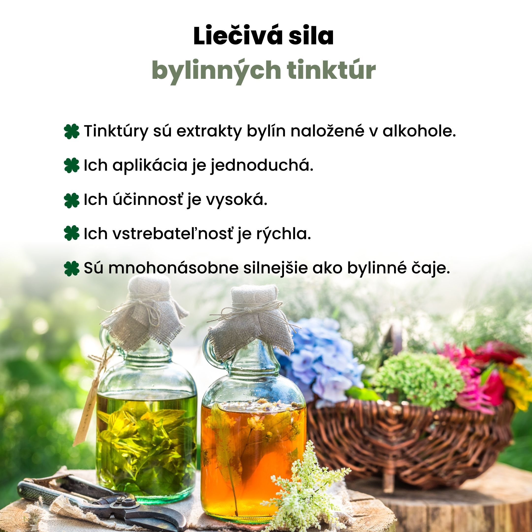 BrainMax Pure Ginkgo Biloba tinktura 1:1, 100 ml Obrázek