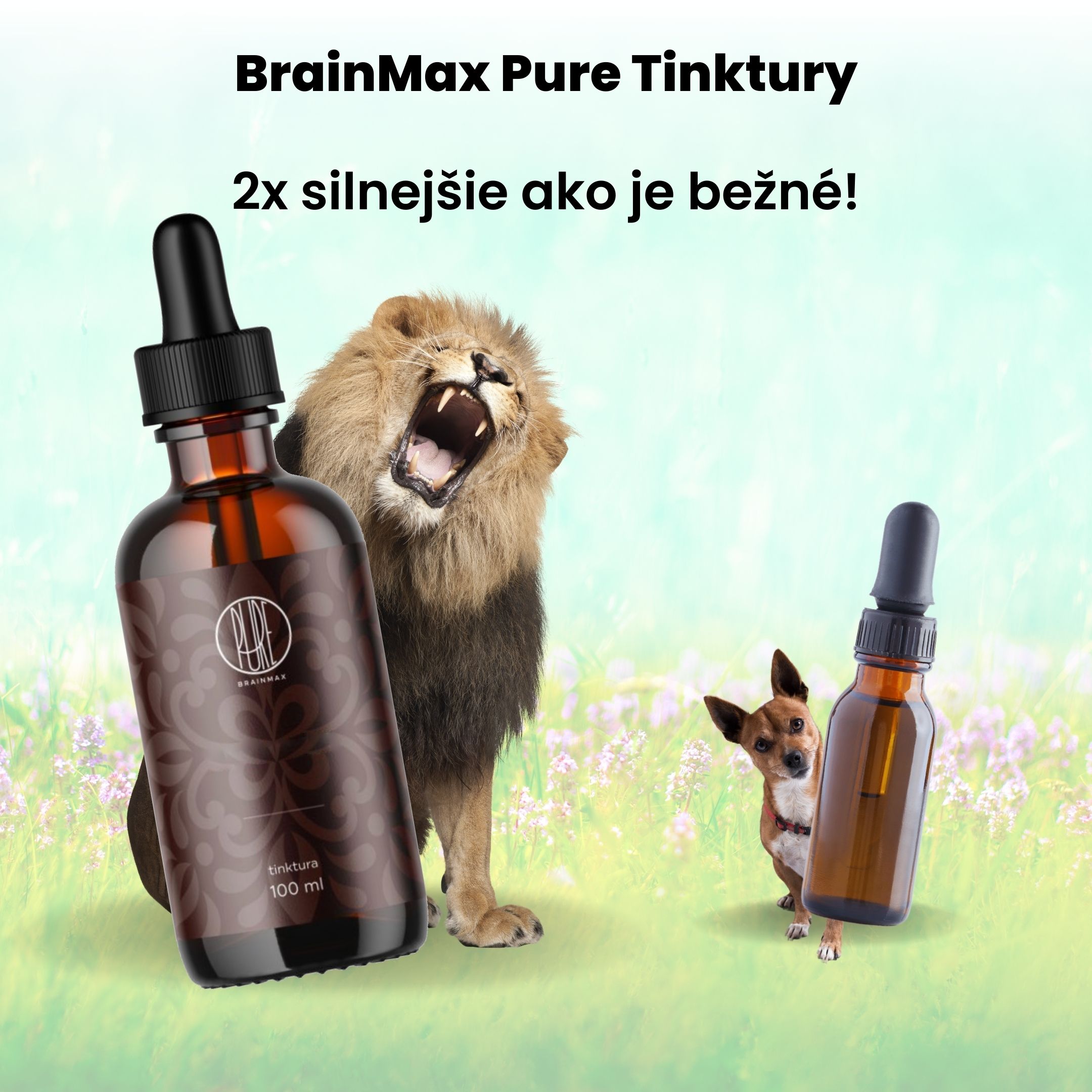 BrainMax Pure Ginkgo Biloba tinktura 1:1, 100 ml Obrázek