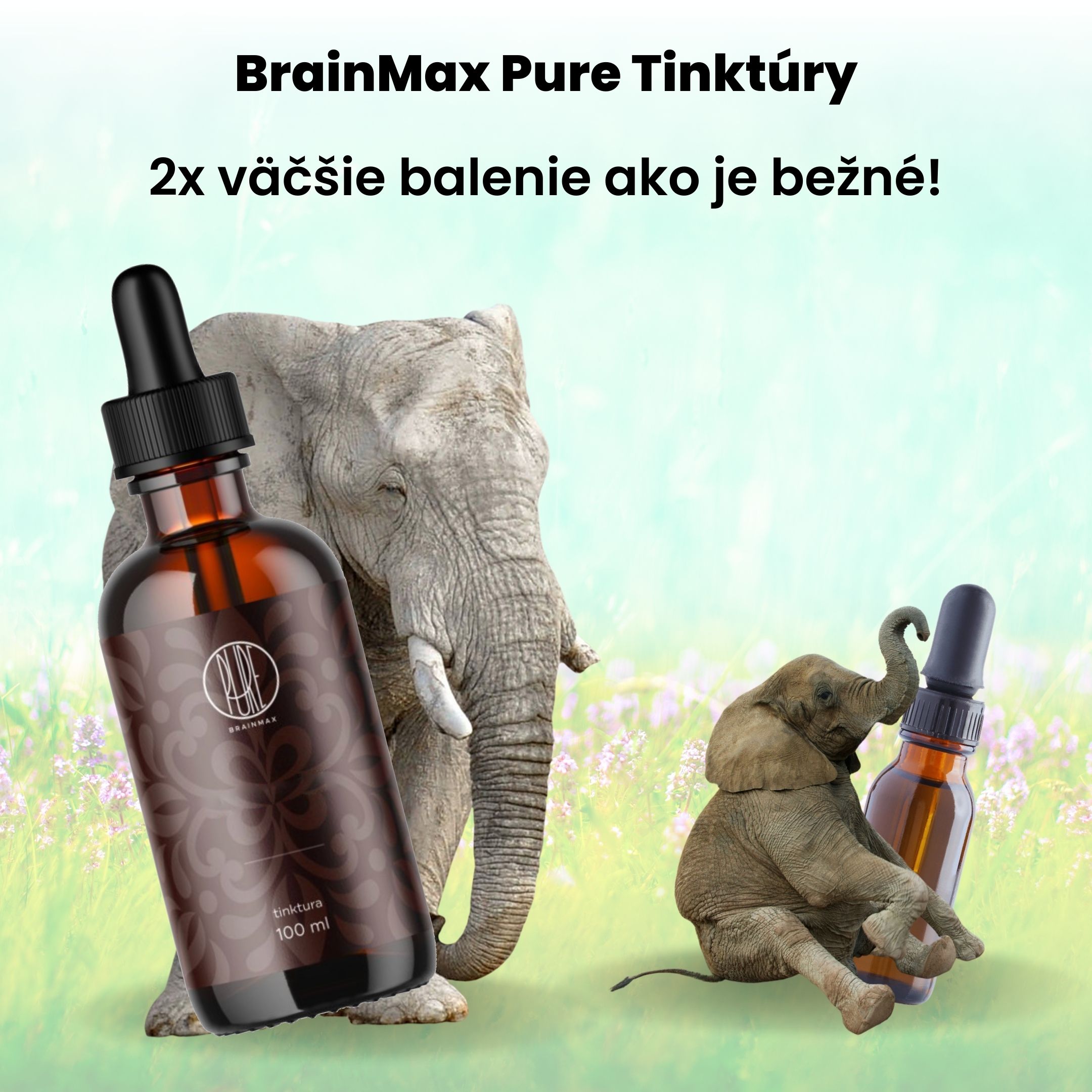 BrainMax Pure Ginkgo Biloba tinktura 1:1, 100 ml Obrázek