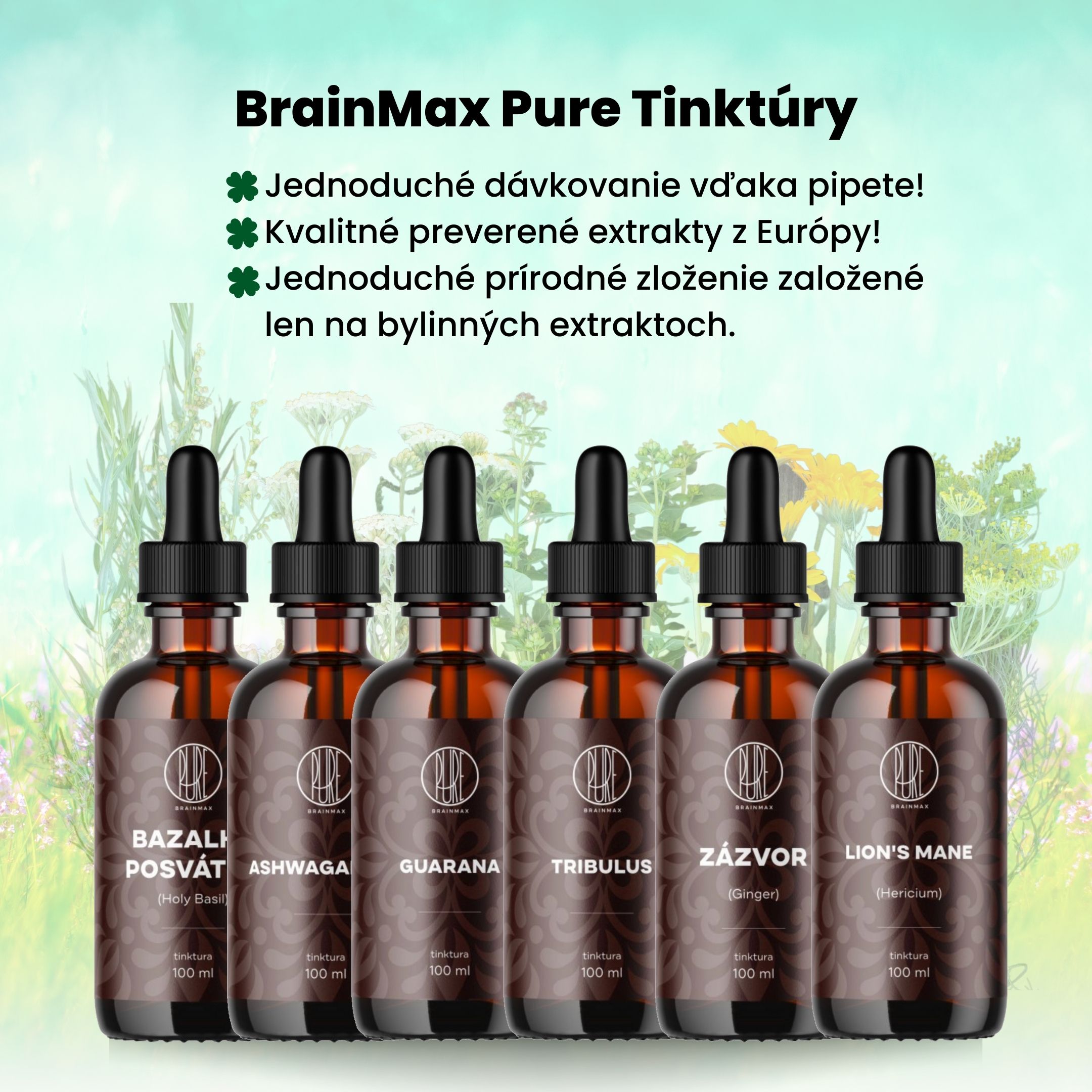 BrainMax Pure Ginkgo Biloba tinktura 1:1, 100 ml Obrázek