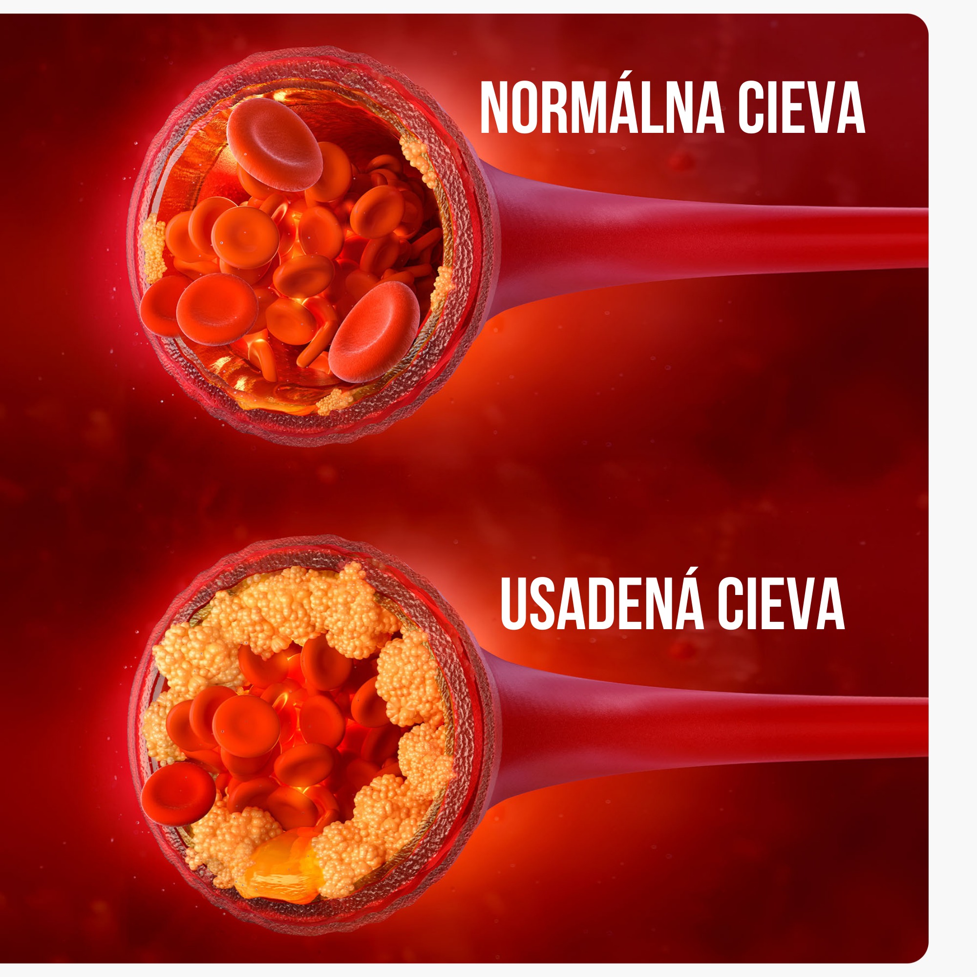 BrainMax Pure Extra panenský olivový olej Picual, BIO, 500 ml Obrázek