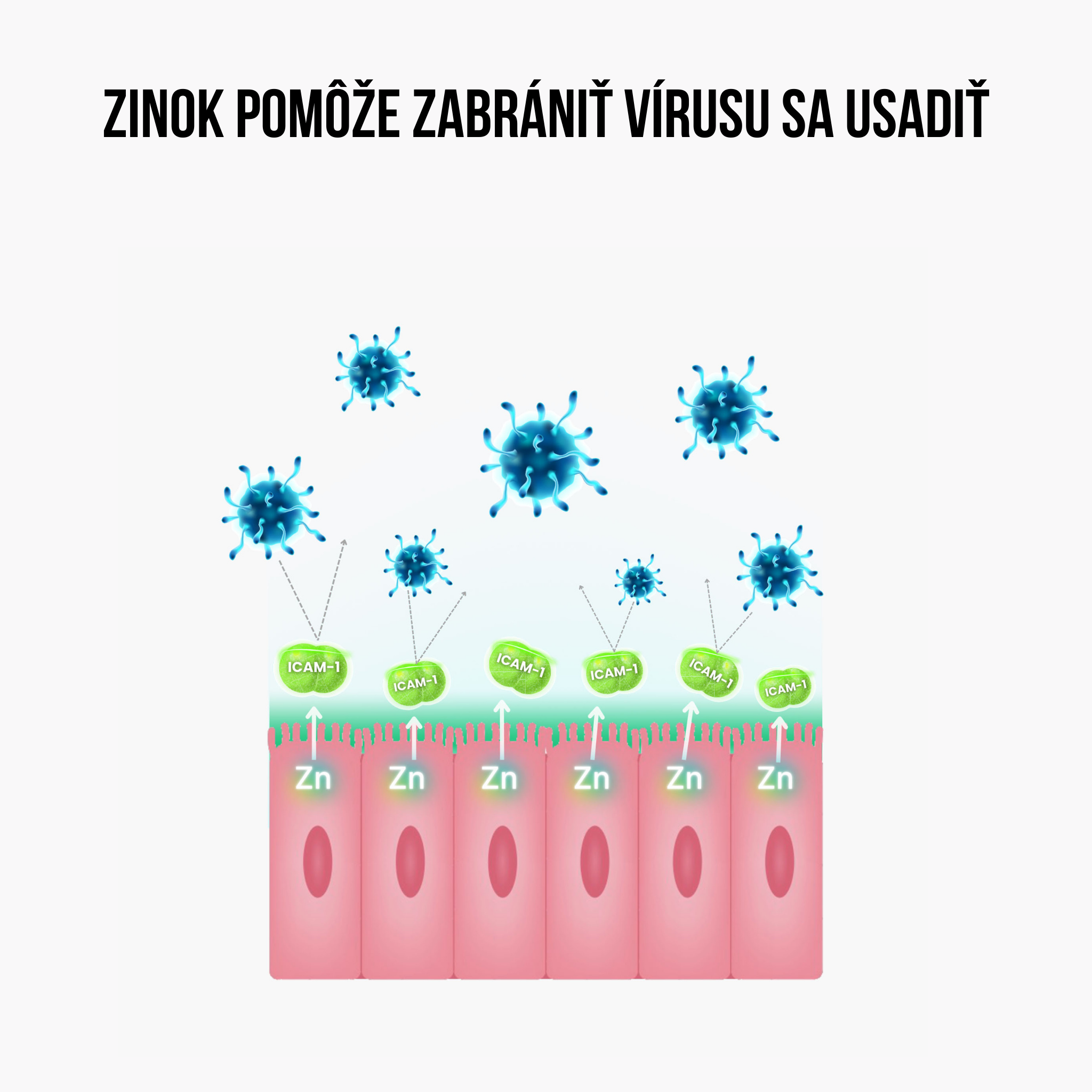 zinok usadení vírusu_1