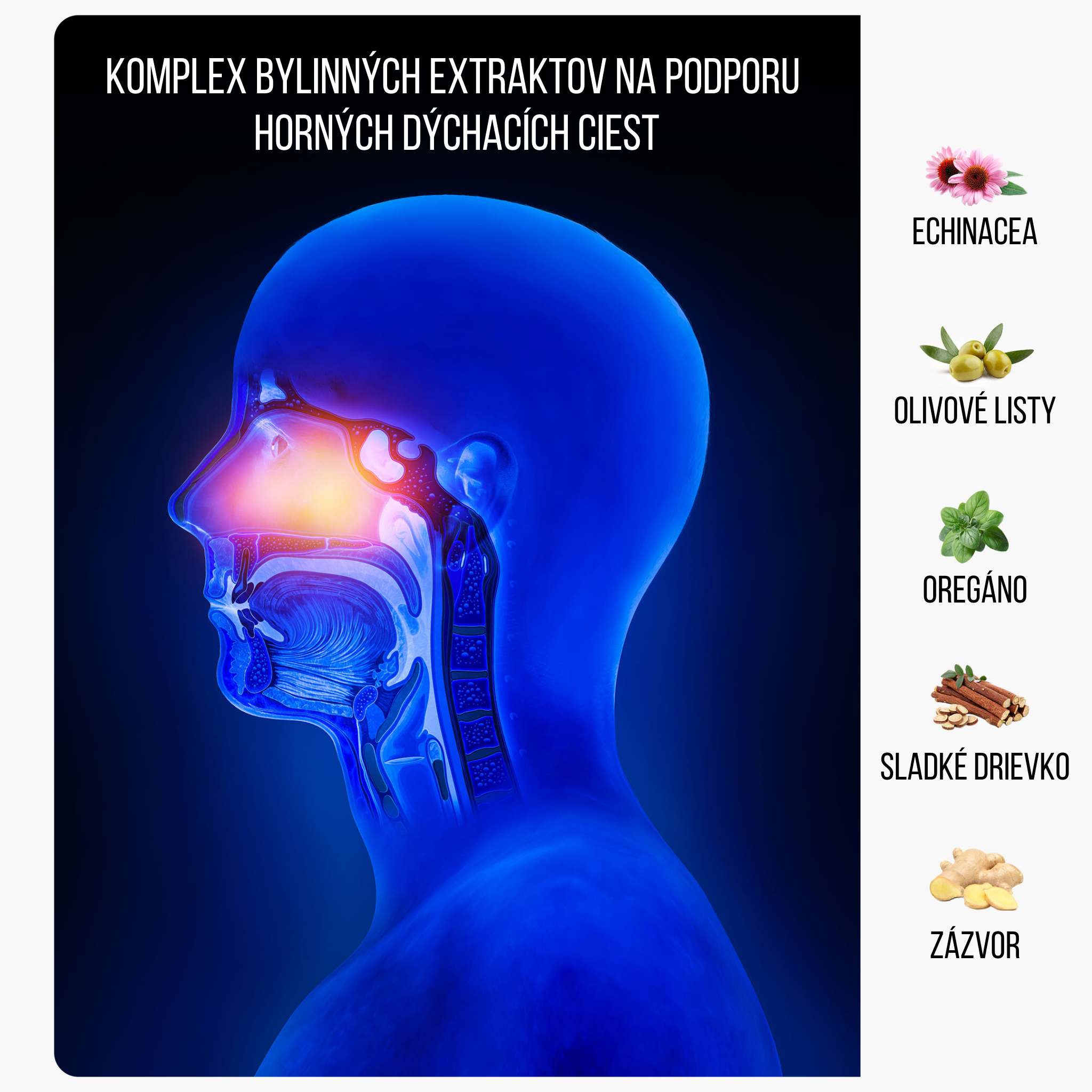 BrainMax IMMUNIZER! 60 rostlinných kapslí Obrázek