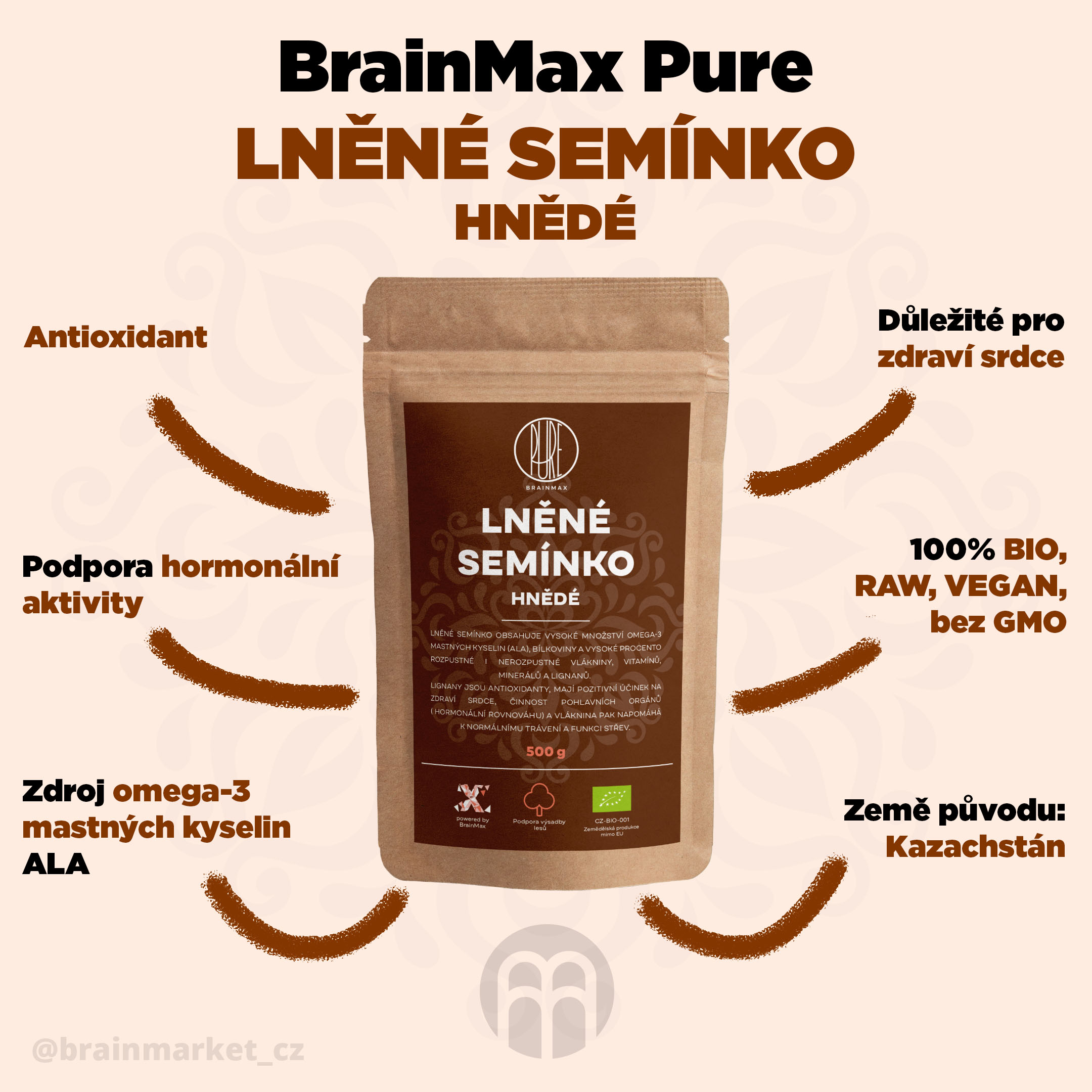 BrainMax Pure Lněné semínko (hnědé) BIO, 500 g Obrázek
