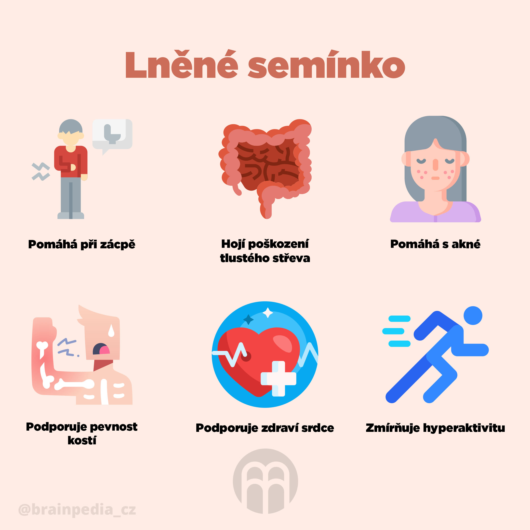 BrainMax Pure Lněné semínko (hnědé) BIO, 500 g Obrázek