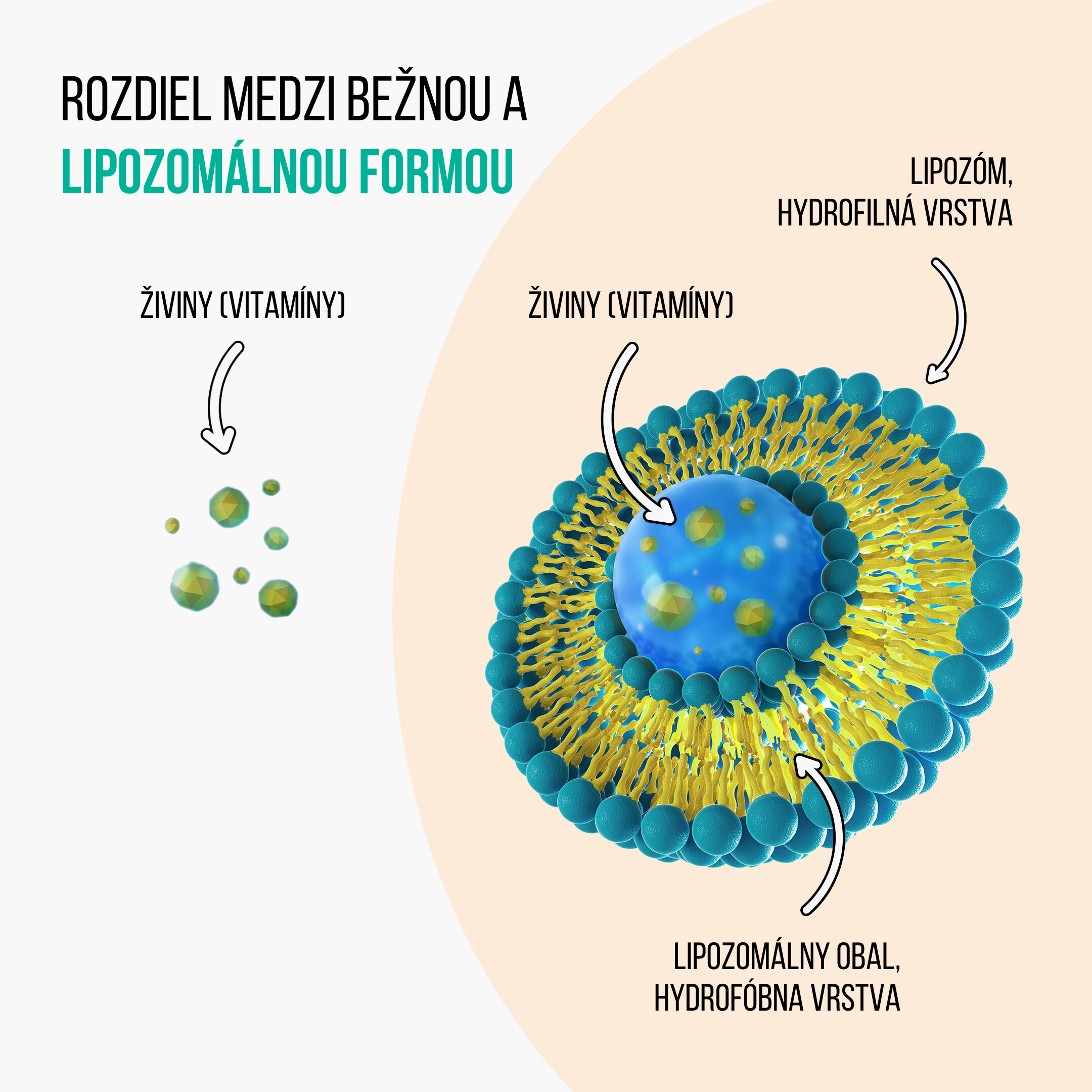 immunity kids produkt liposom2