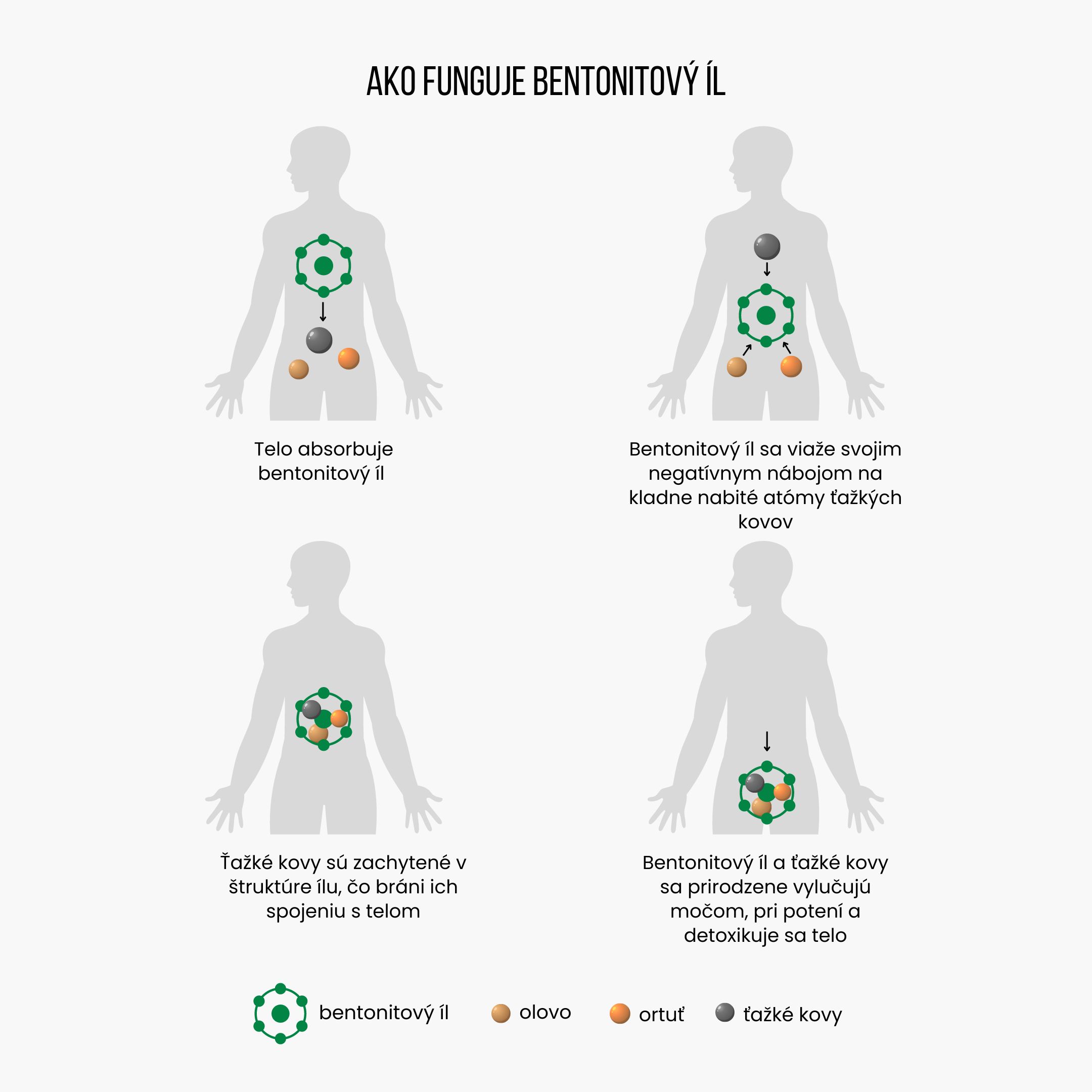 BrainMax Detoxer, prášek pro detoxikaci organismu, 90 g Obrázek