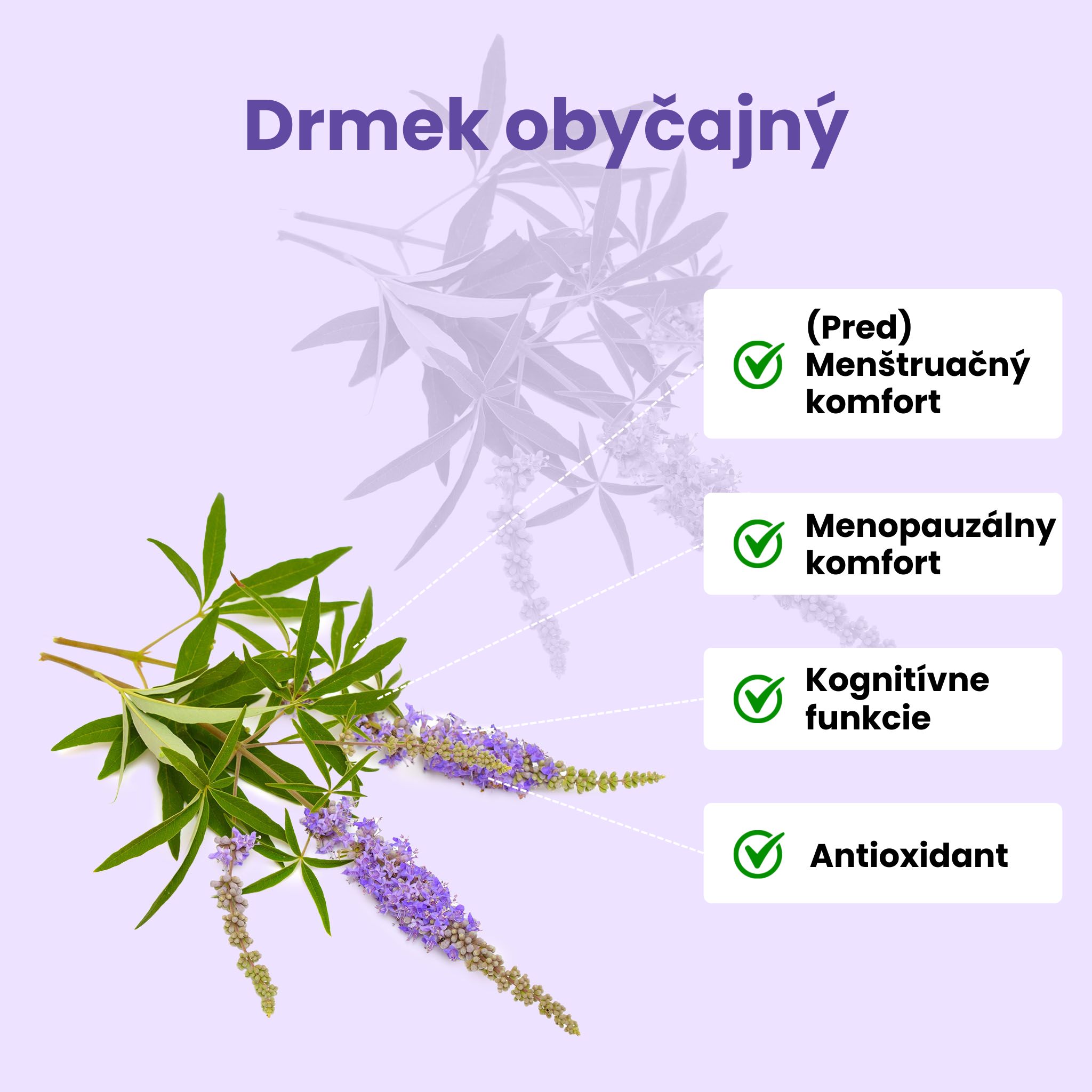 BrainMax Women Menopause Support, podpora při menopauze, 90 rostlinných kapslí Obrázek