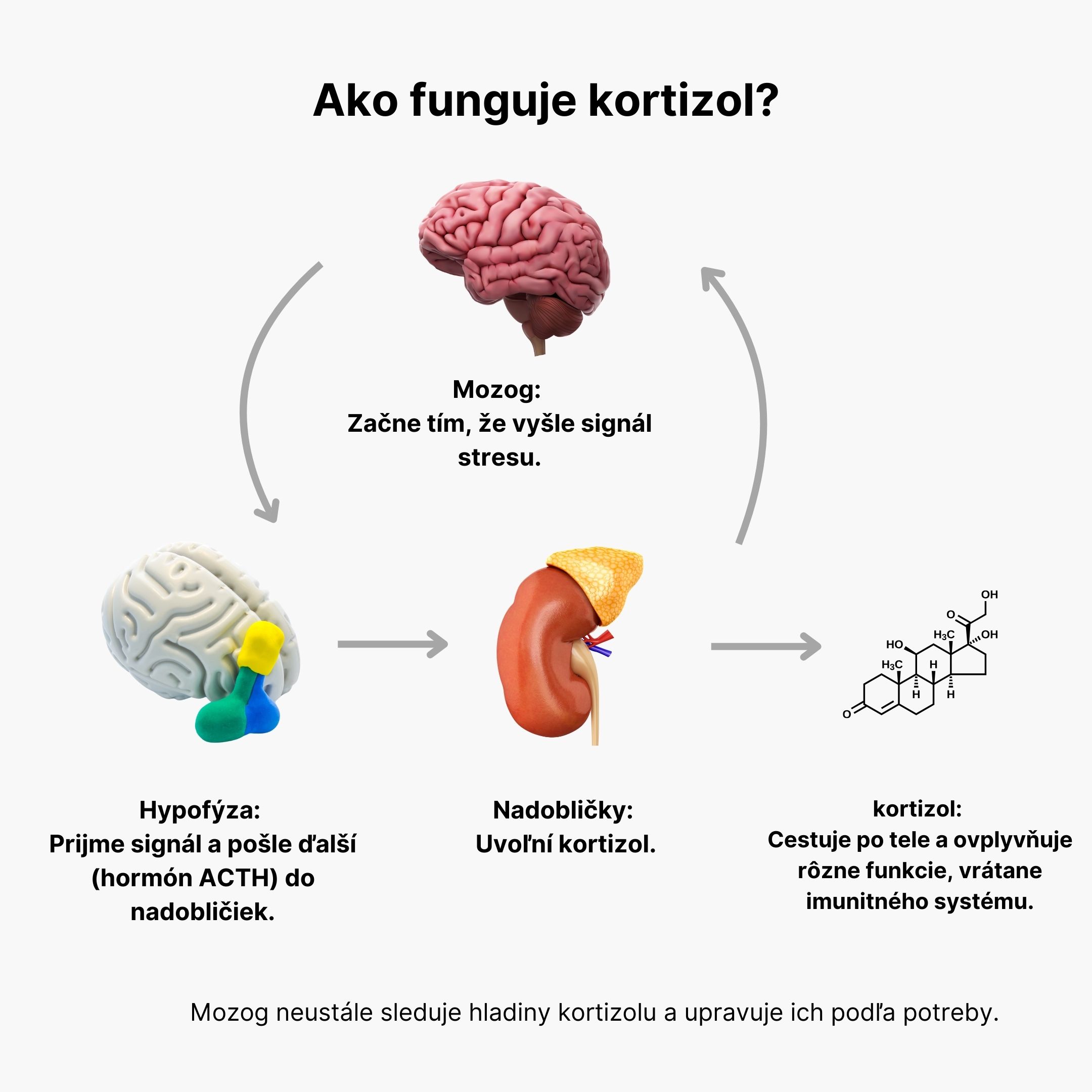 BrainMax Cortisol Stress Support, 90 rostlinných kapslí Obrázek