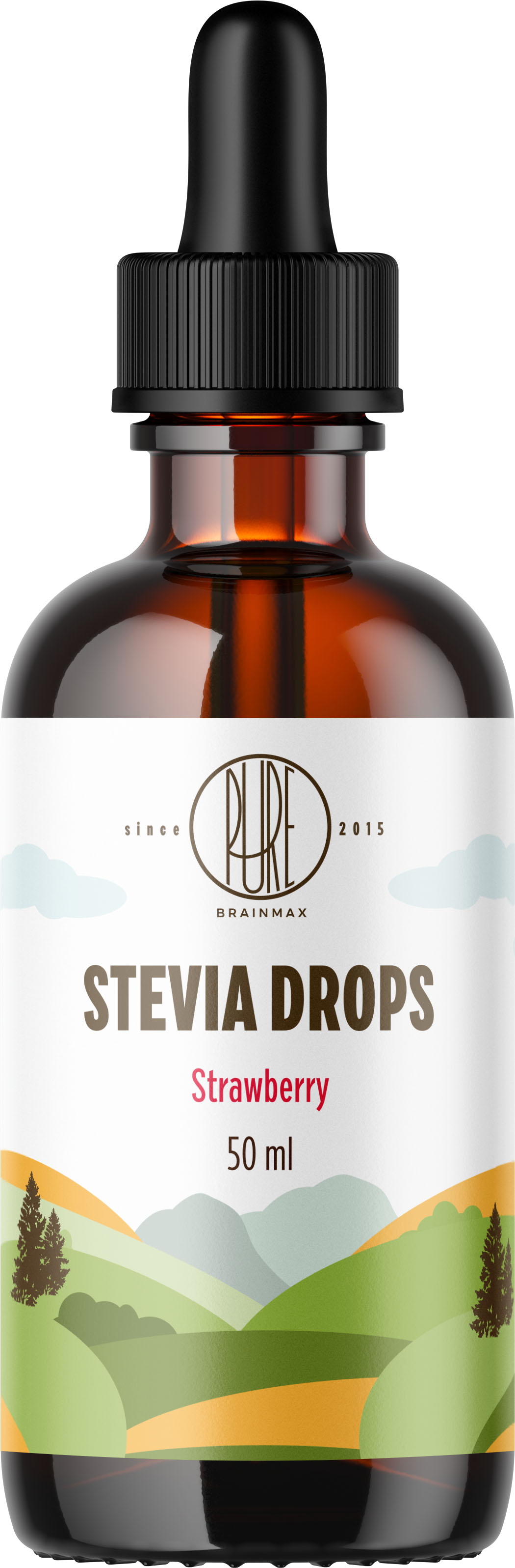 BrainMax Pure Stevia drops, Stévie kapky, různé druhy, 50 ml Příchuť: Máta Obrázek