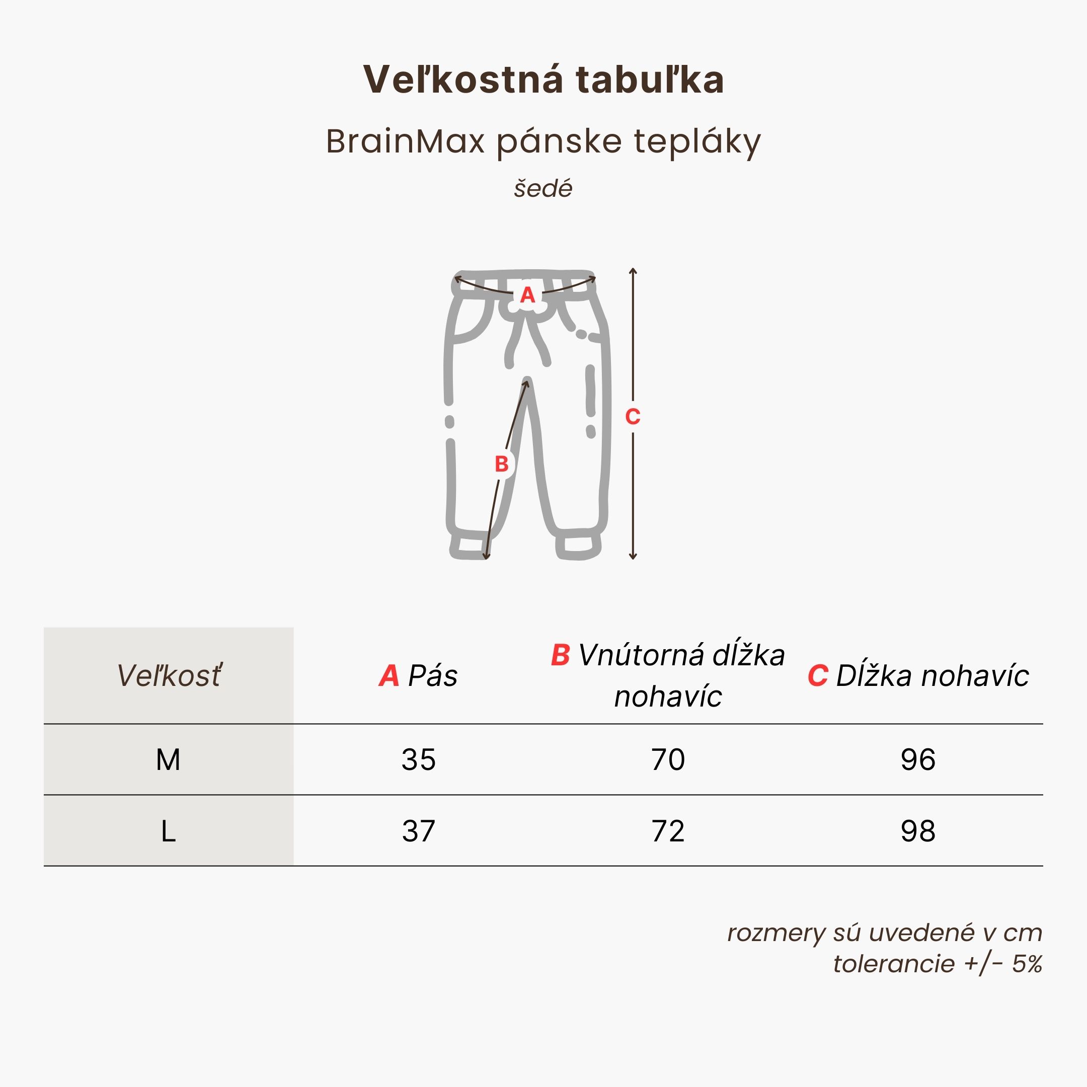 BrainMax pánské tepláky, šedé Velikost: M Obrázek