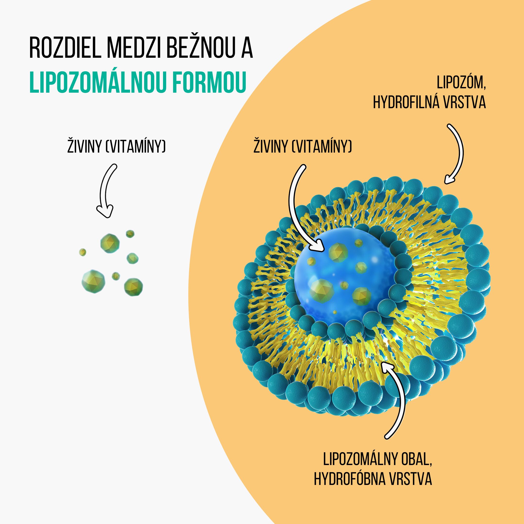 BrainMax Liquid Liposomal Vitamin C, Lipozomální Vitamín C, 250 ml Obrázek