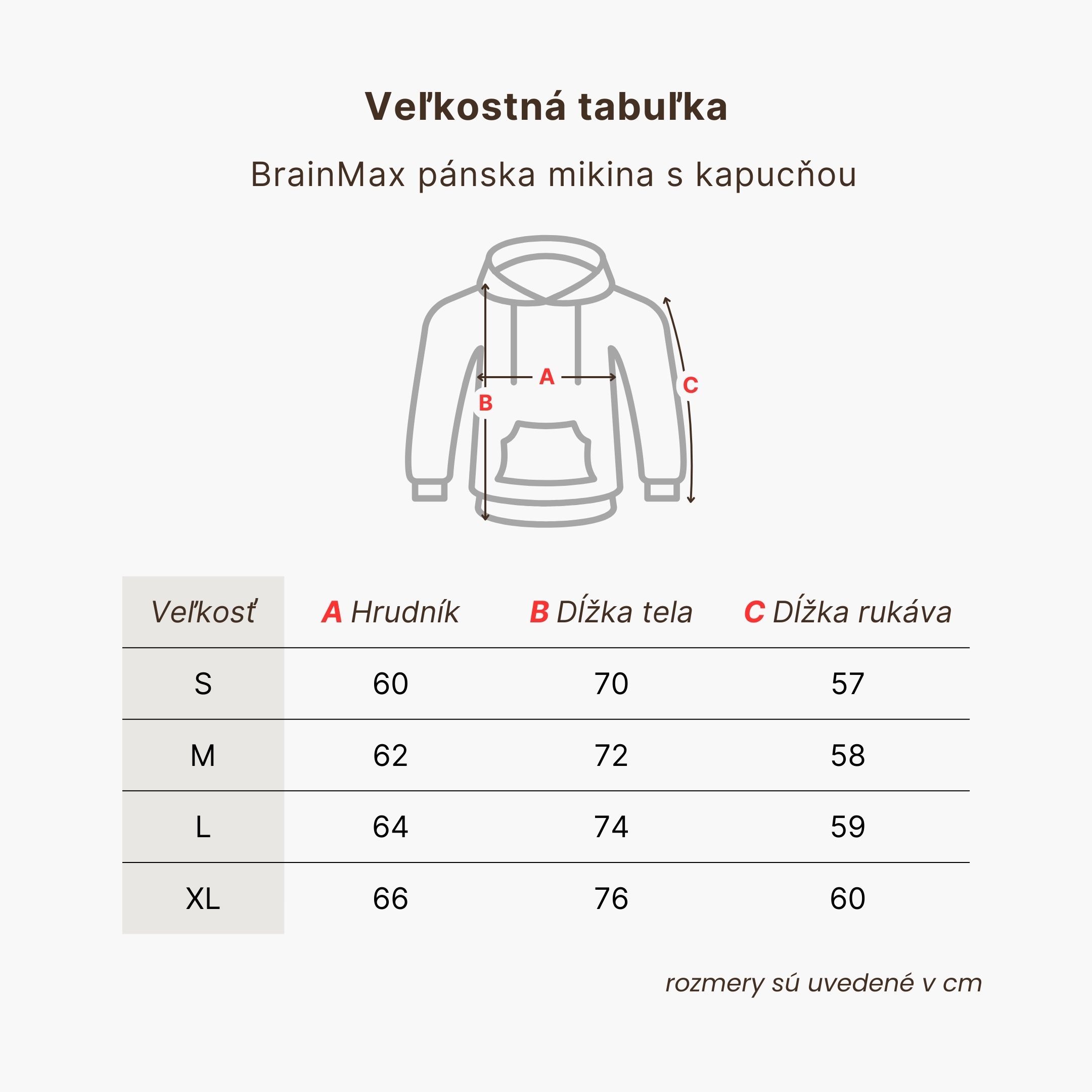 BrainMax pánská mikina s kapucí, šedá Velikost: L Obrázek
