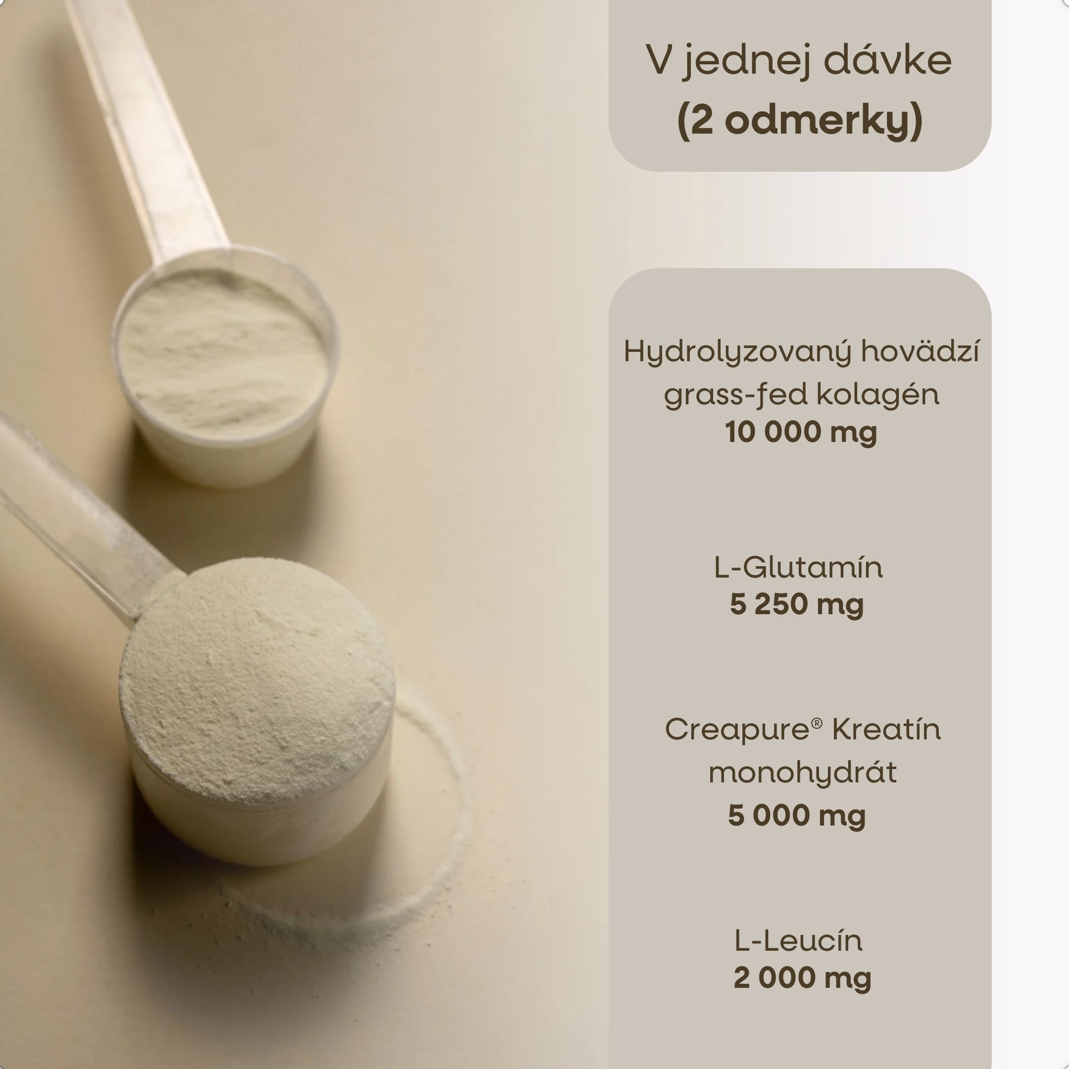 BrainMax Daily Support, malina, 500 g Obrázek