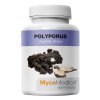 polyporus vitalni.761696527