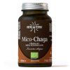 1.HIF Mico Chaga Bio 70 kapslí 54029