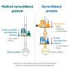 Vyroba proteinu 1 bez pozadi cz
