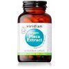 Maca extrakt maly