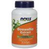 NOW Boswellia Extrakt, 500 mg, 90 softgélových kapsúl