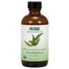eucalyptus oil